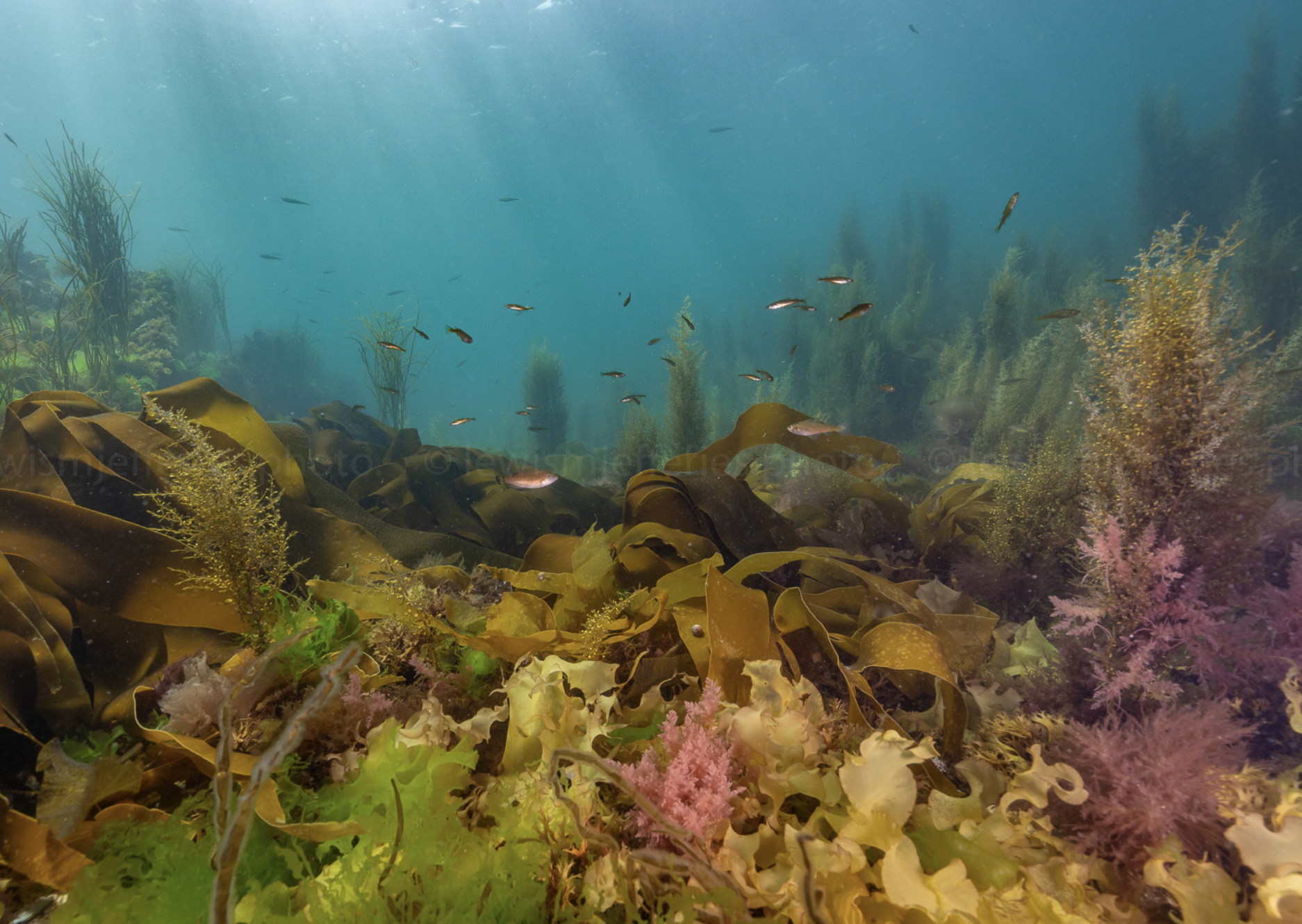 Screenshot 2023-03-09 at 09.29.47.png