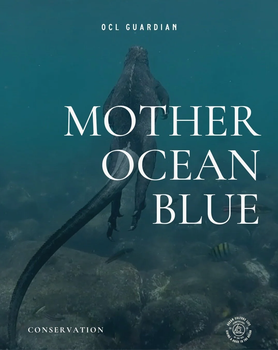 WE ARE AN OCEAN COMMUNITY 