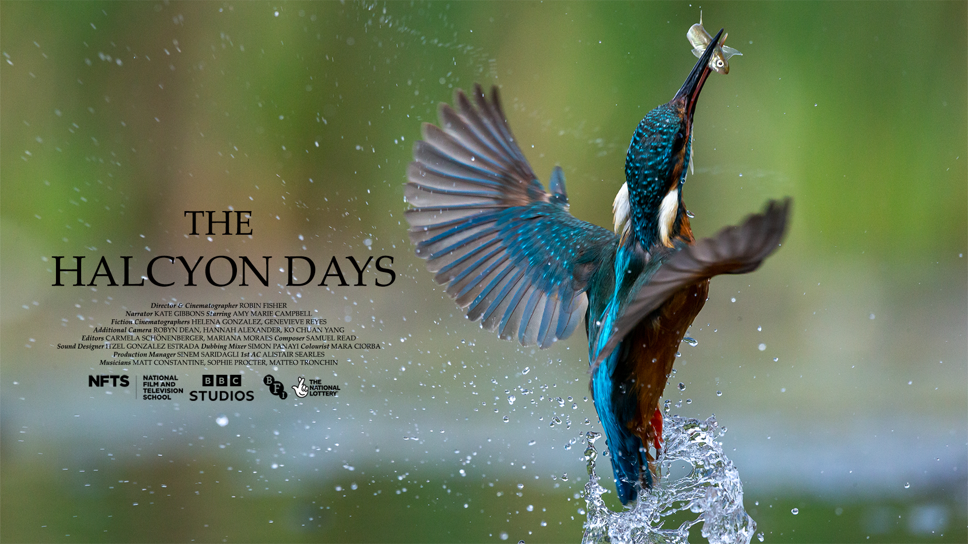 the halcyon days poster.png