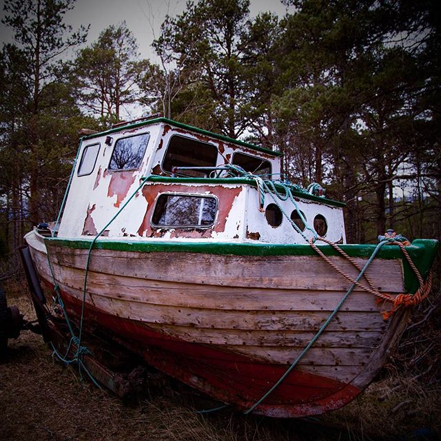 Found a boat in the woods!
#boat #woods #old #lost #farfromsea #stranded #vintage #spooky #atmosphere