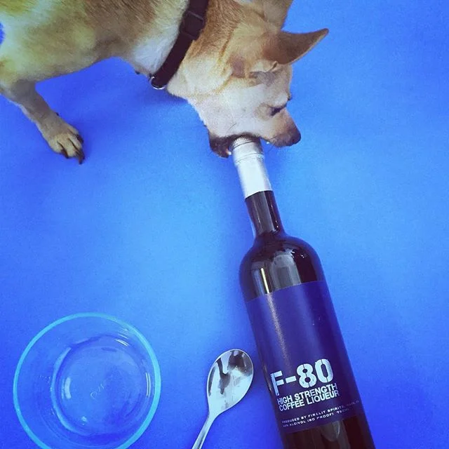 Dasher says: make me an F-80 affogato!  @humphryslocombe  #f80