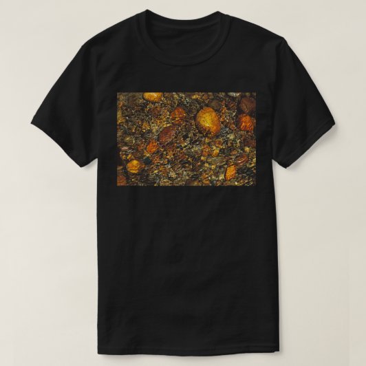 stones_in_my_passway_nature_art_beauty_t_shirt-rddcd41d8f8f04878810a4f3e1b8ad5d9_jgsdi_532.jpg