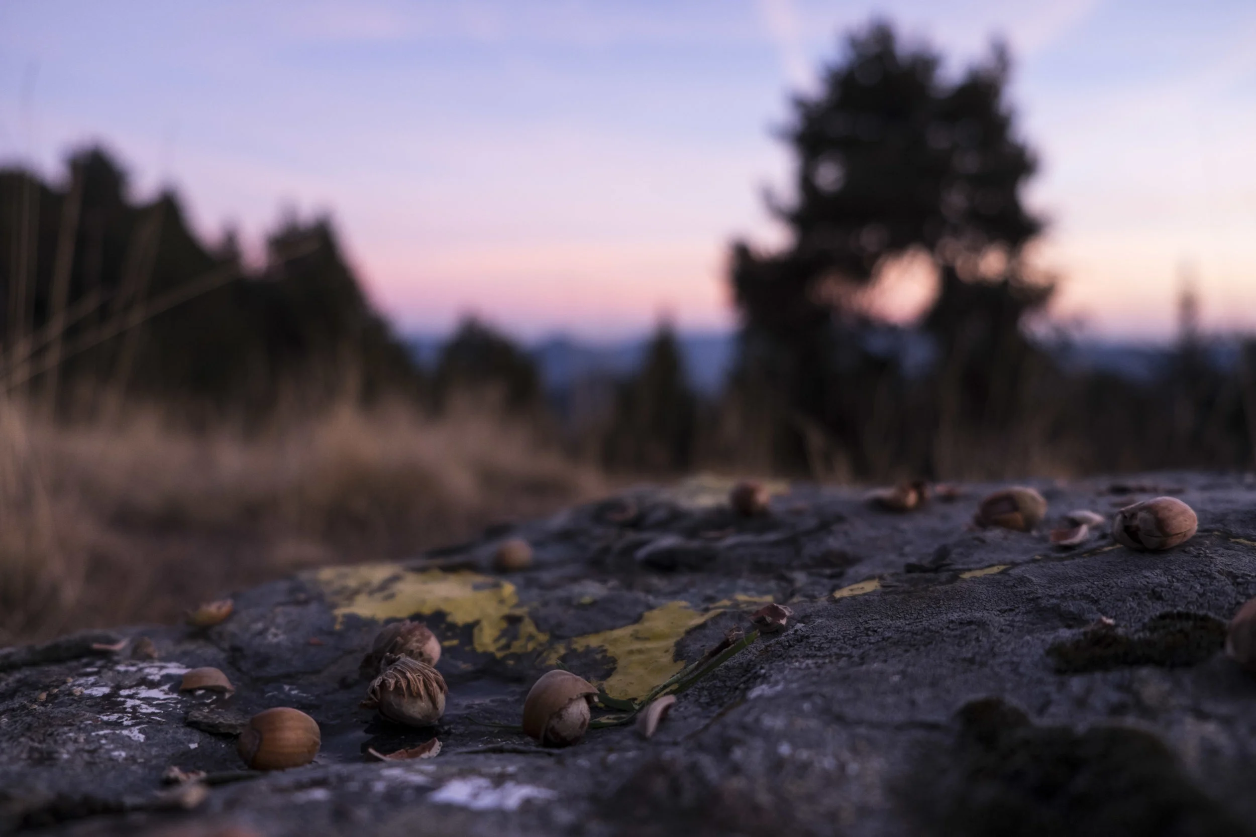 DSCF3836.jpg