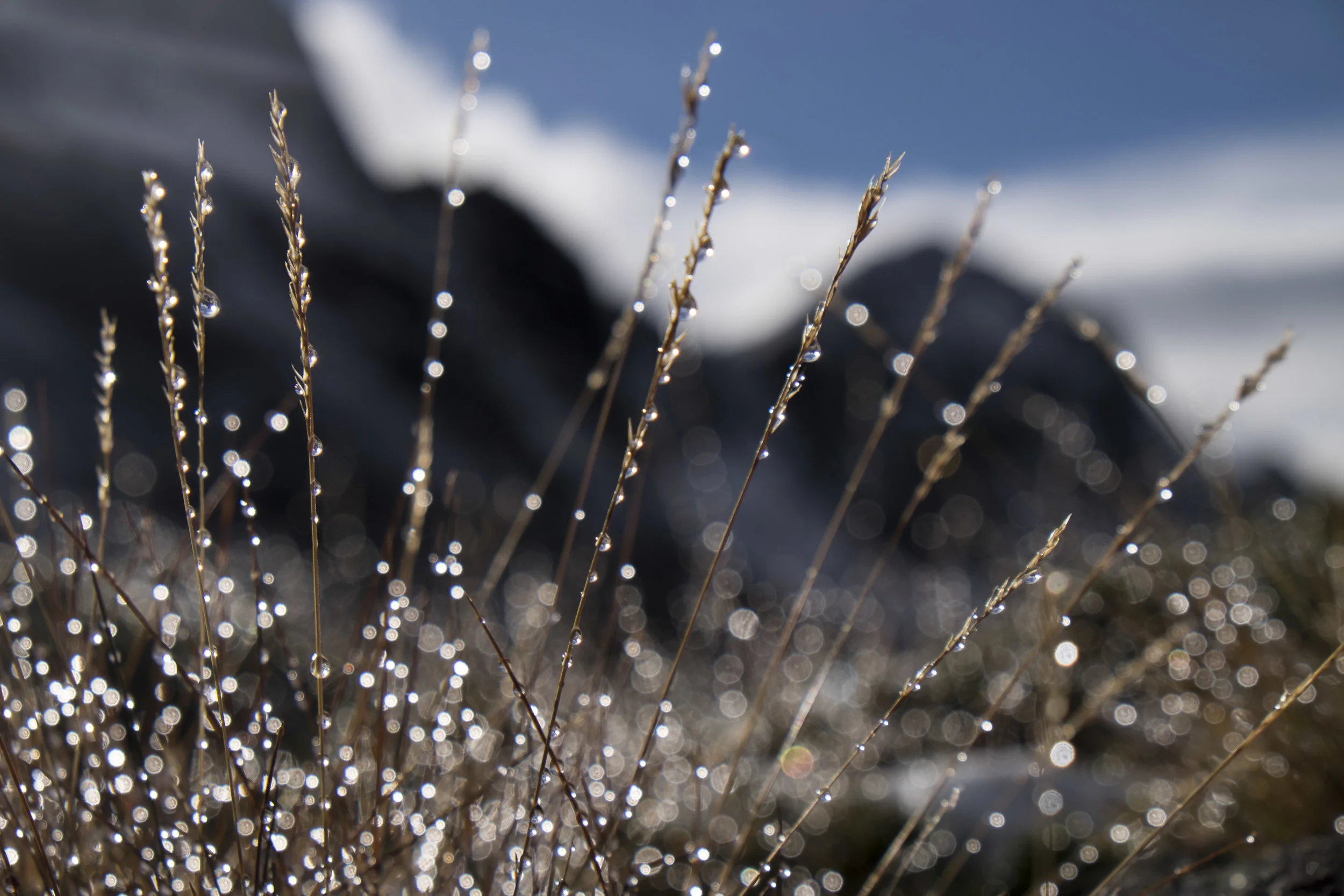 DSCF3917.jpg
