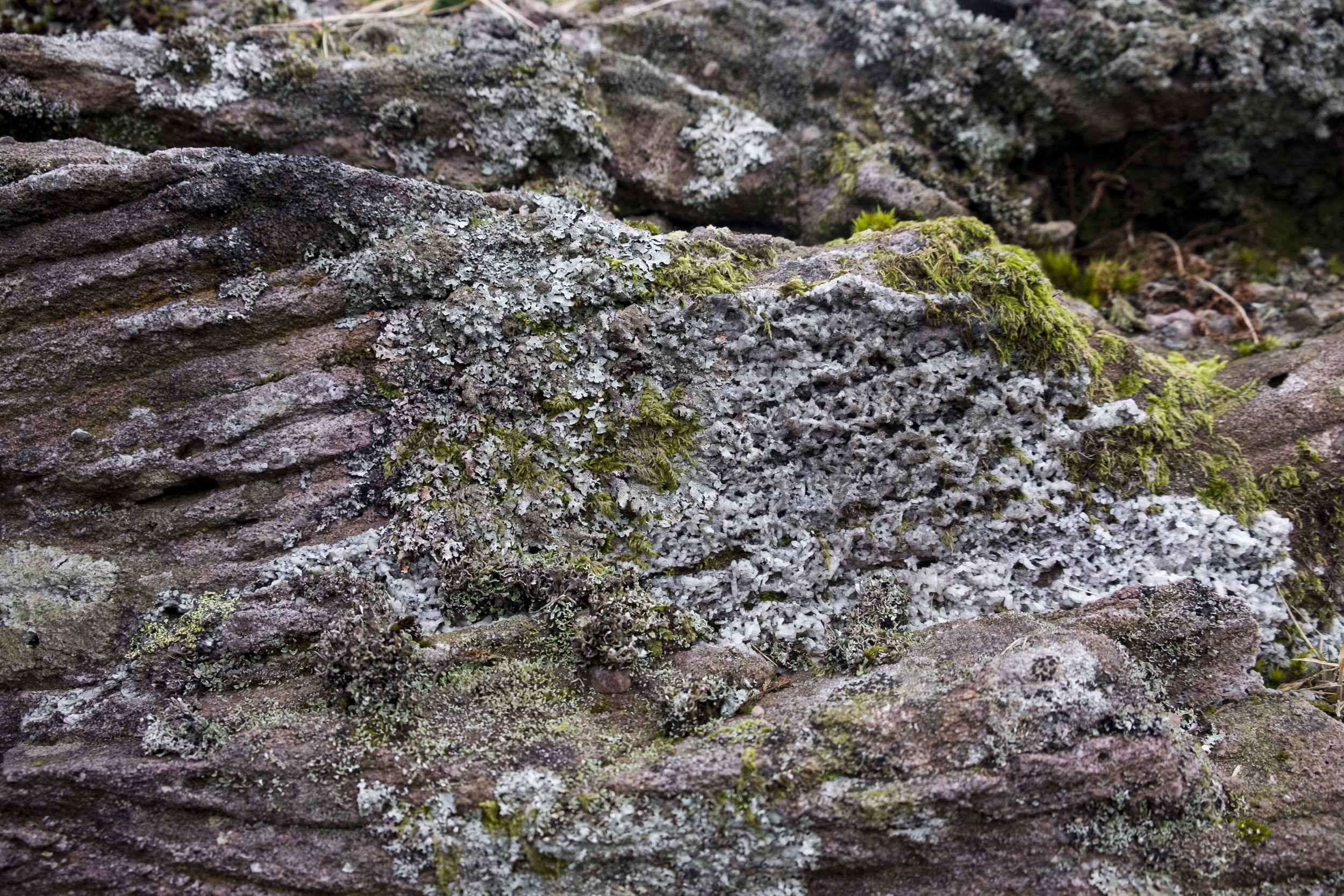 Old Redstone. The different layers show the direction of flow as the sandstone formed and the red colour comes from iron particles in the rock. This image also shows a buildup of quartz on the right.