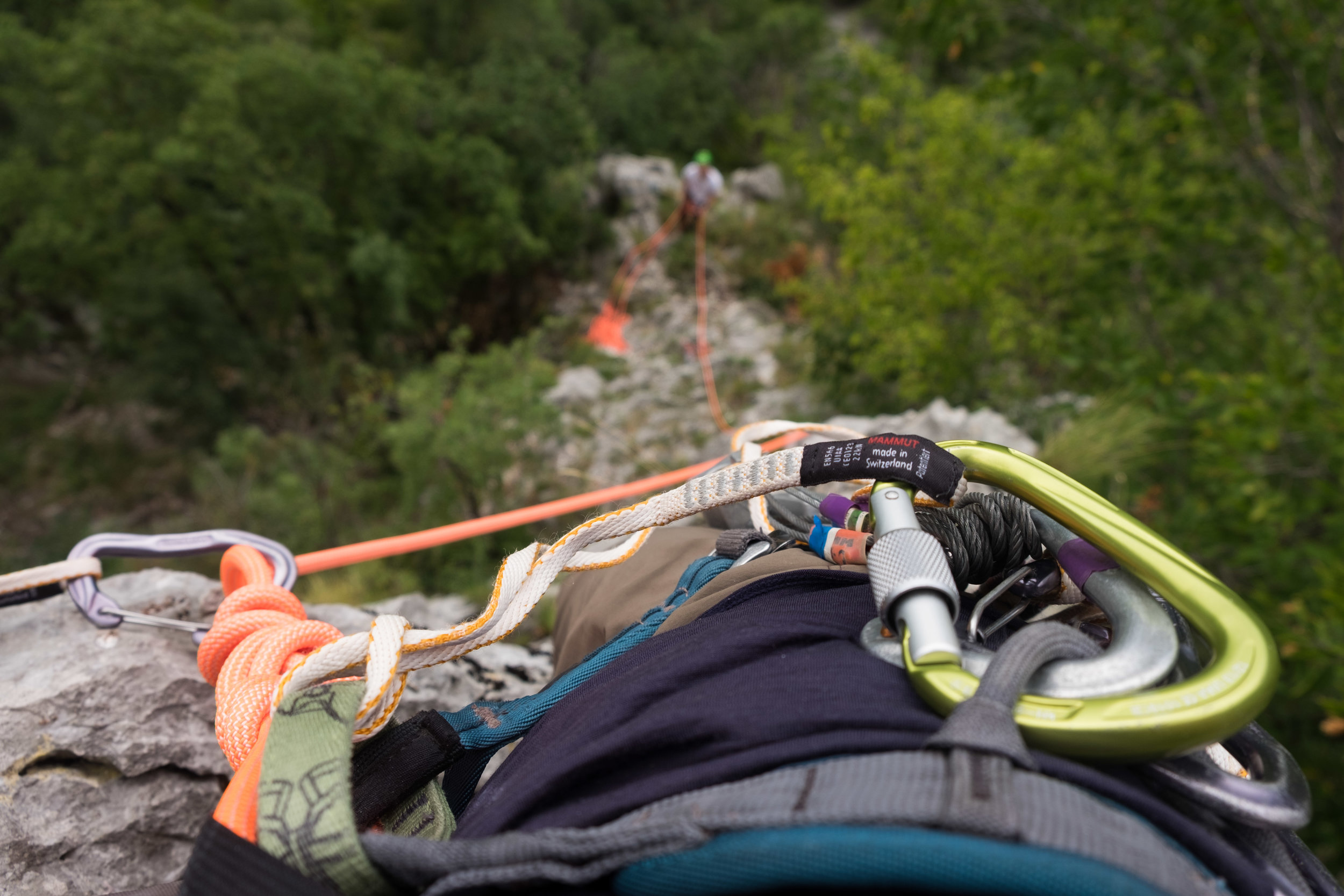 The first pitch in Vipava.