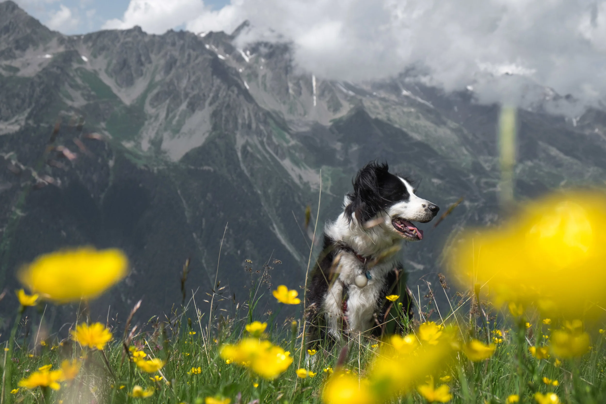 Alps-59.jpg