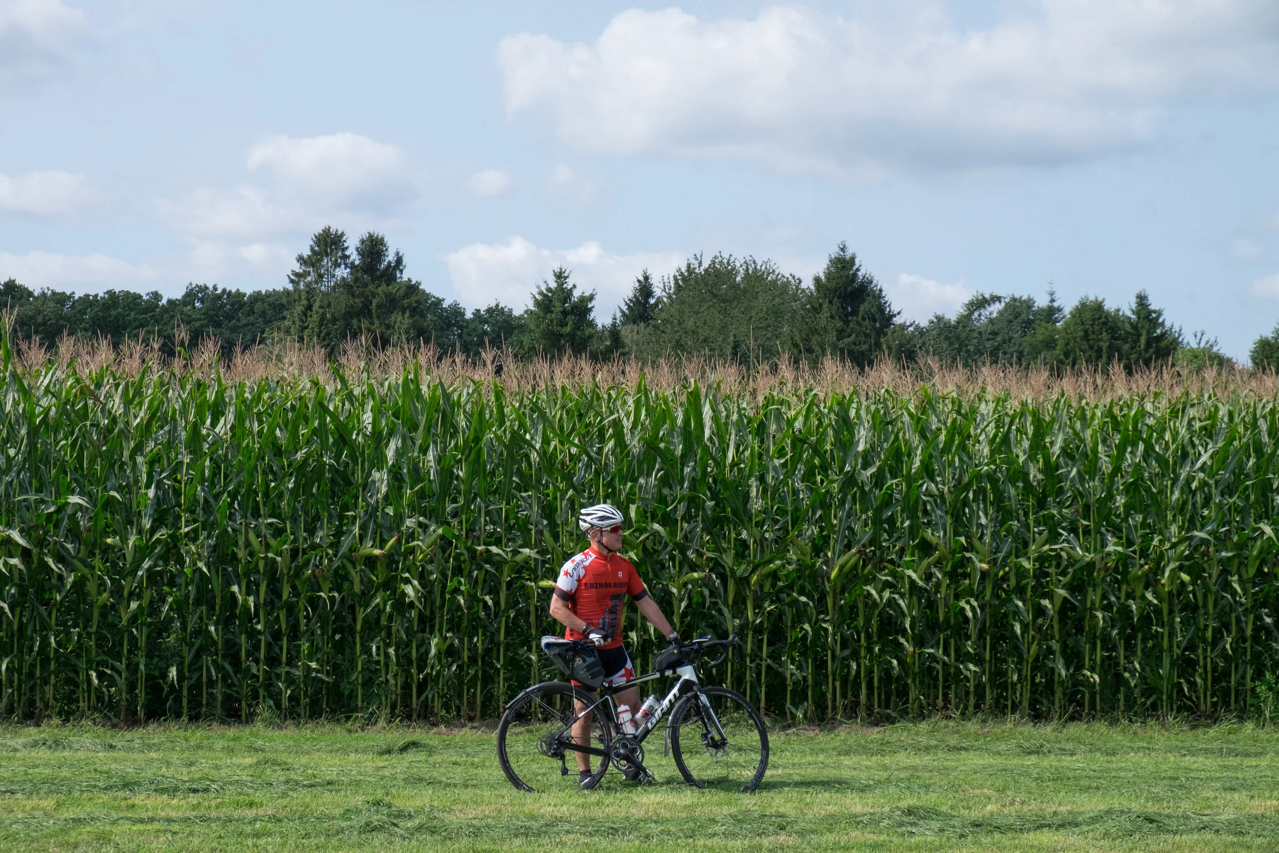 Forests and cornfields.