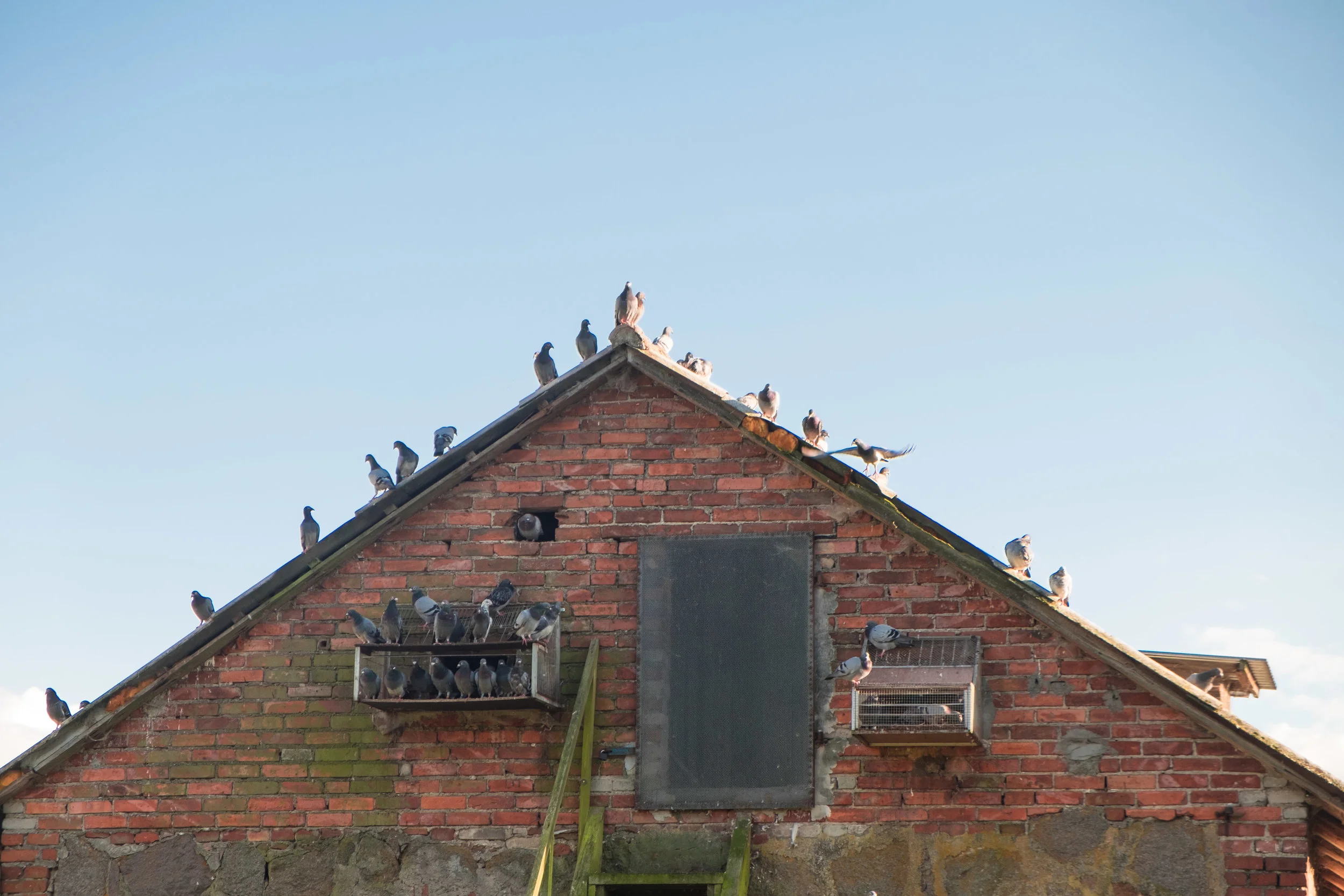 A pigeon house in Poland.