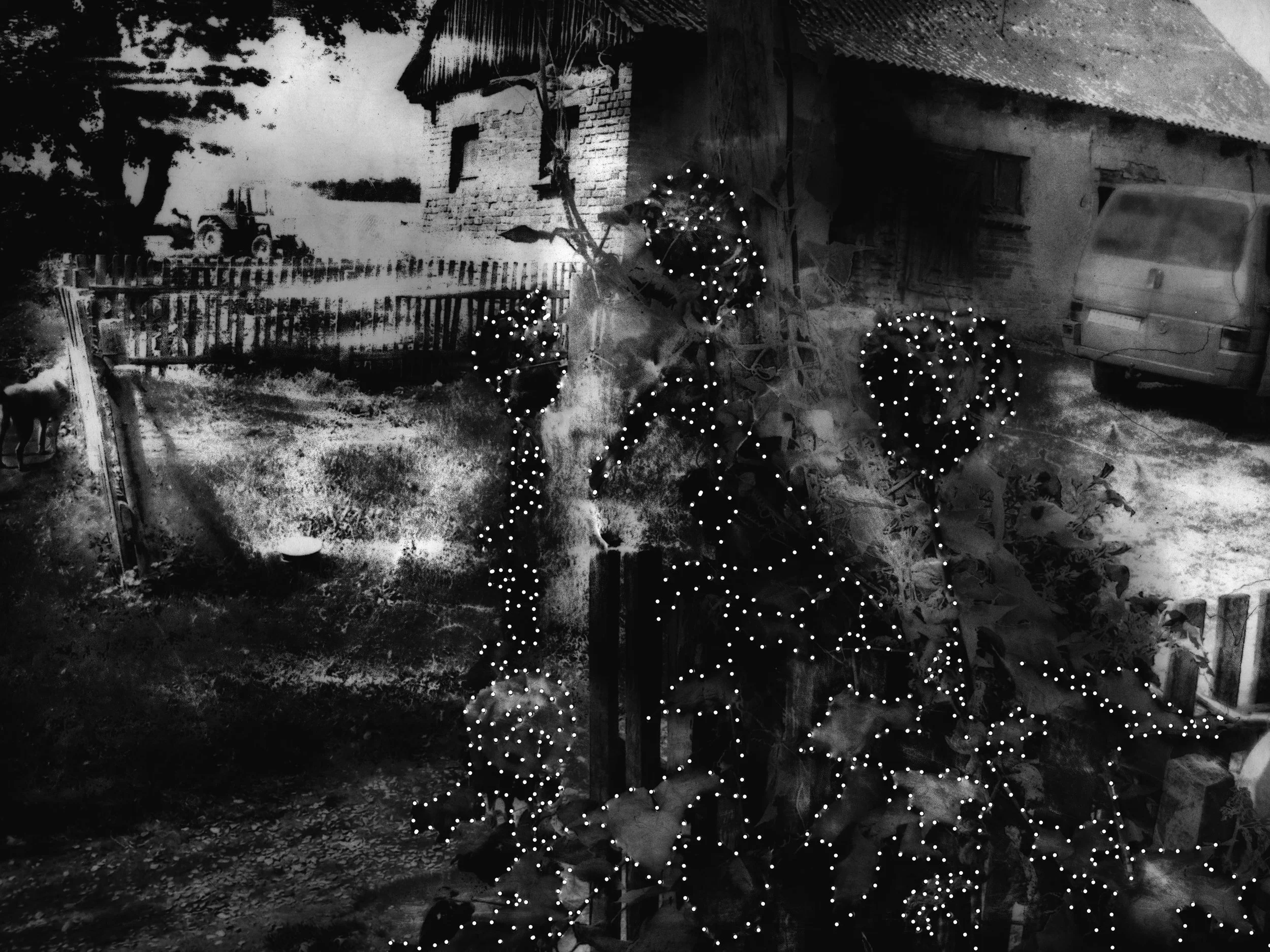 An old family photograph, scanned, scrubbed to remove ink, stitched through with mending thread, turned into a negative and printed in the dark room. From my project, The Farm, 2011.