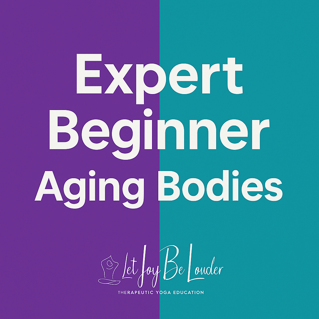 expert beginner.png