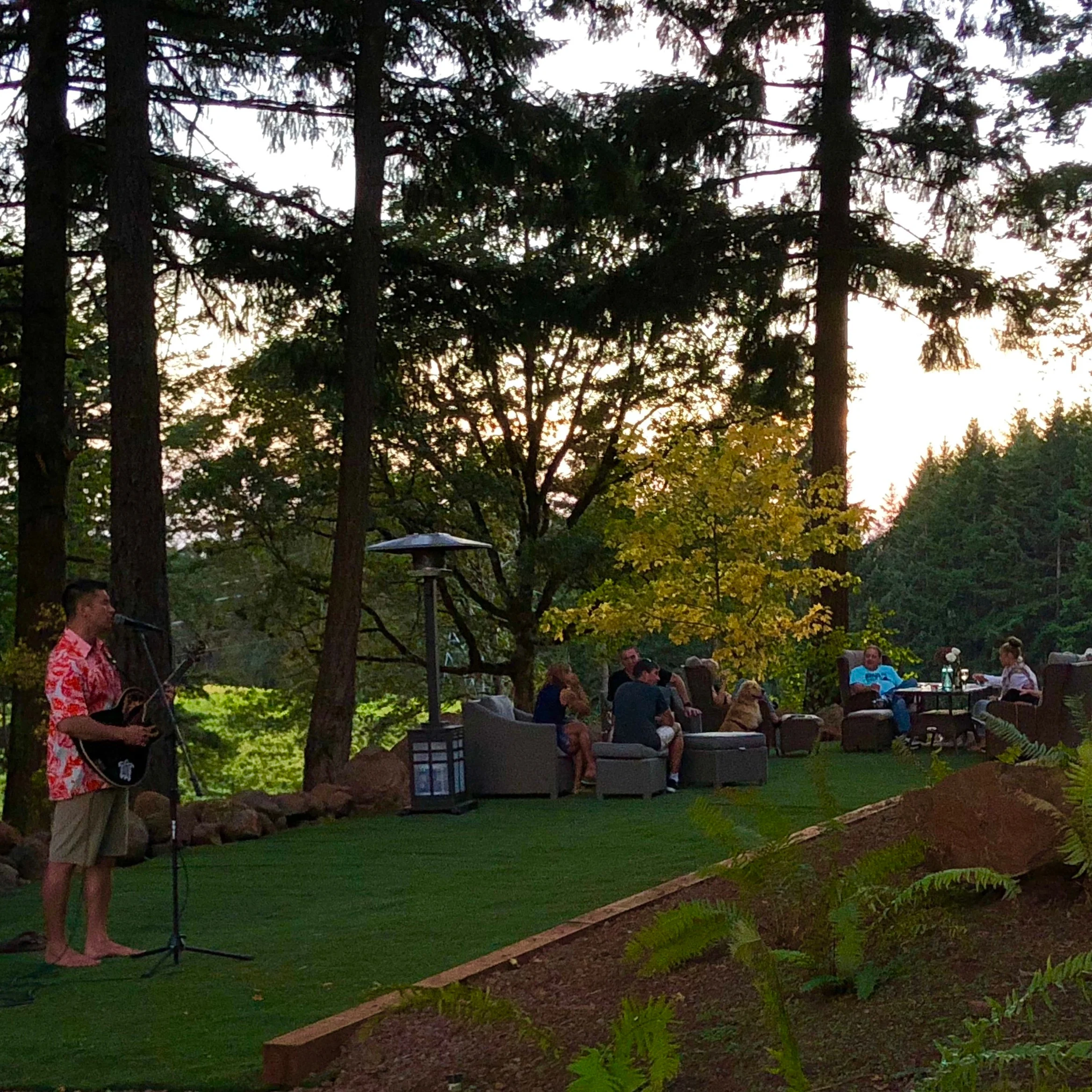 kholt playing at last friday.jpg