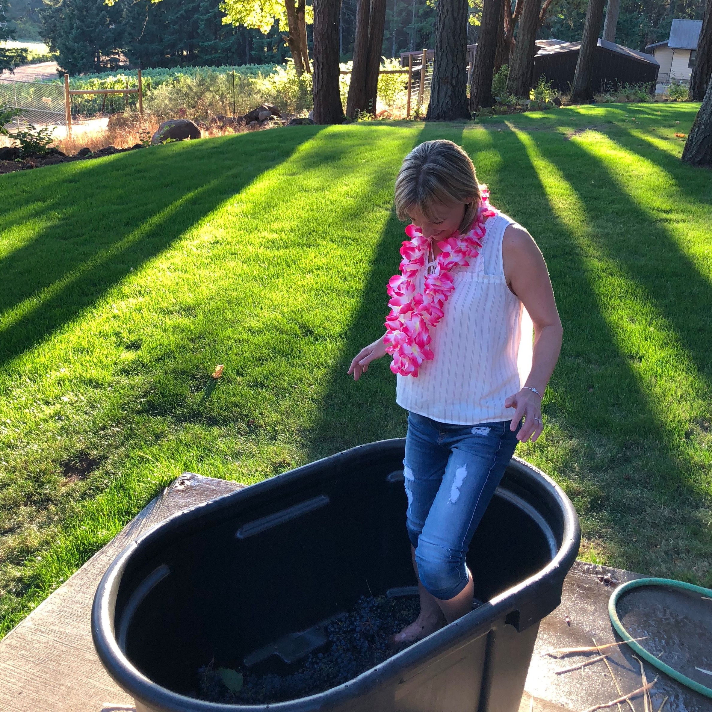 lf grape stomp.jpg