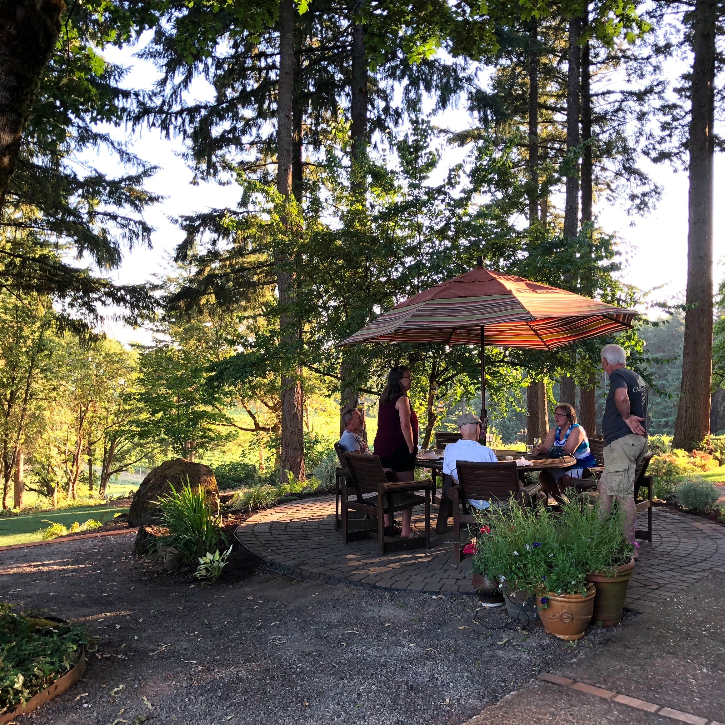 lf patio sunny.jpg