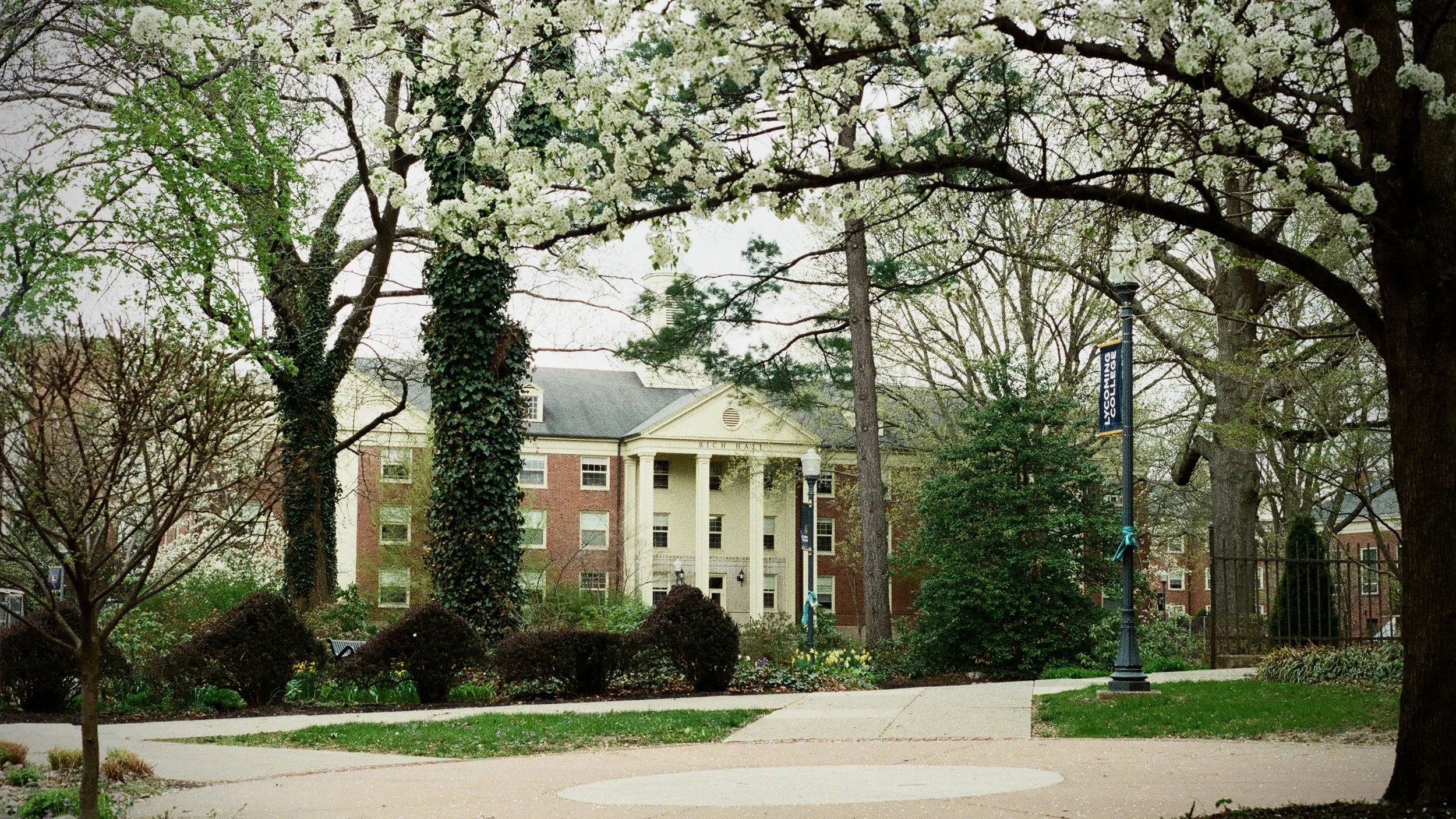 Another campus building, with walking paths and a tree with white blossoms in foreground.