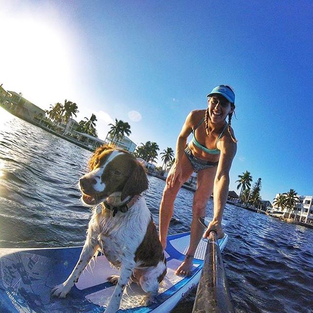 Happy 🌴 Aloha 🌴 Friday!!! Team Rider 🔘 Seychelle and her trusty companion out for their morning walk across the water. @seychelle_sup @mistral_int @vestpac @surfstow @westmarineinc @sweetwaterwear #paddleboard #paddleboarding #standuppaddle #stand