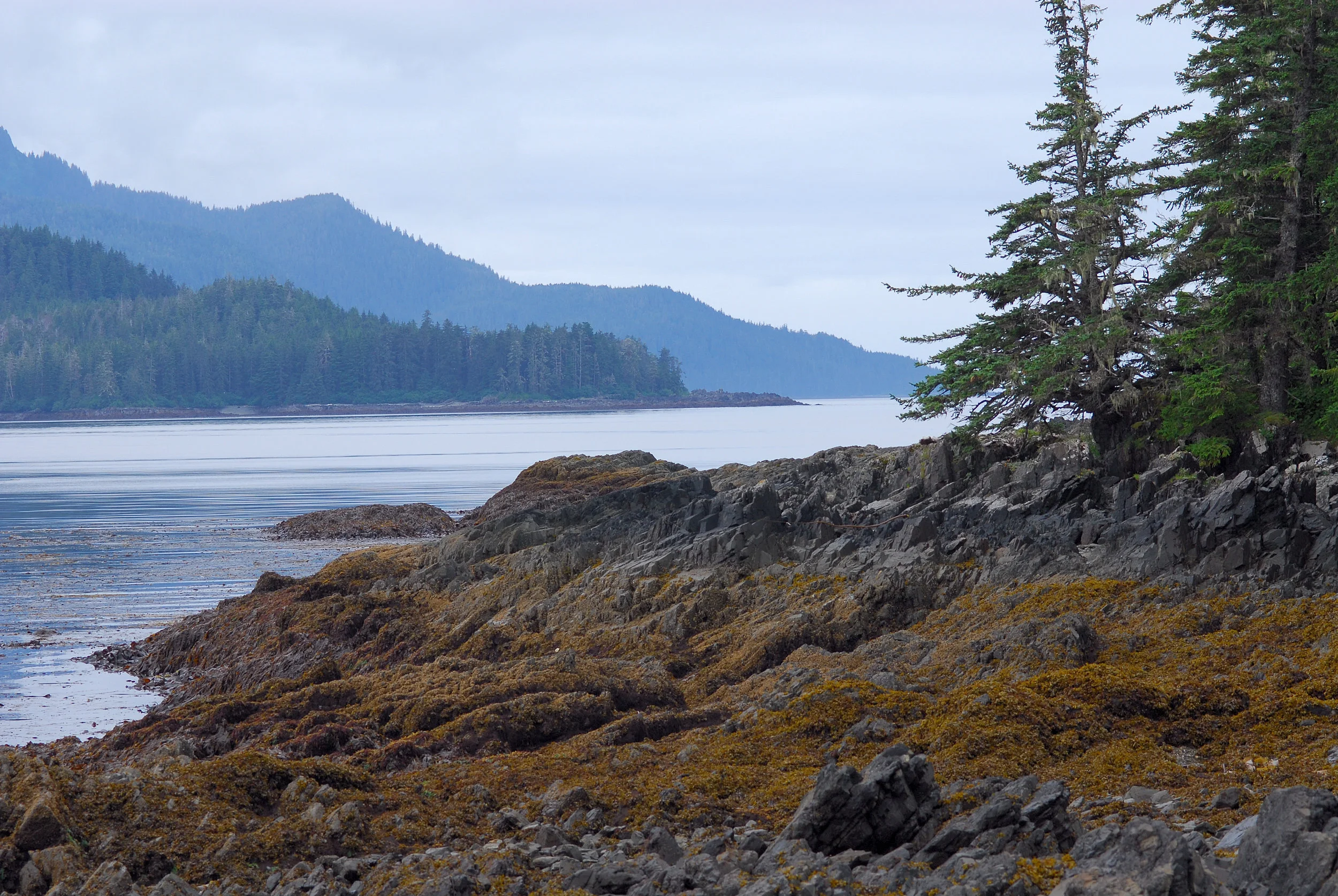 DSC_0496.jpg