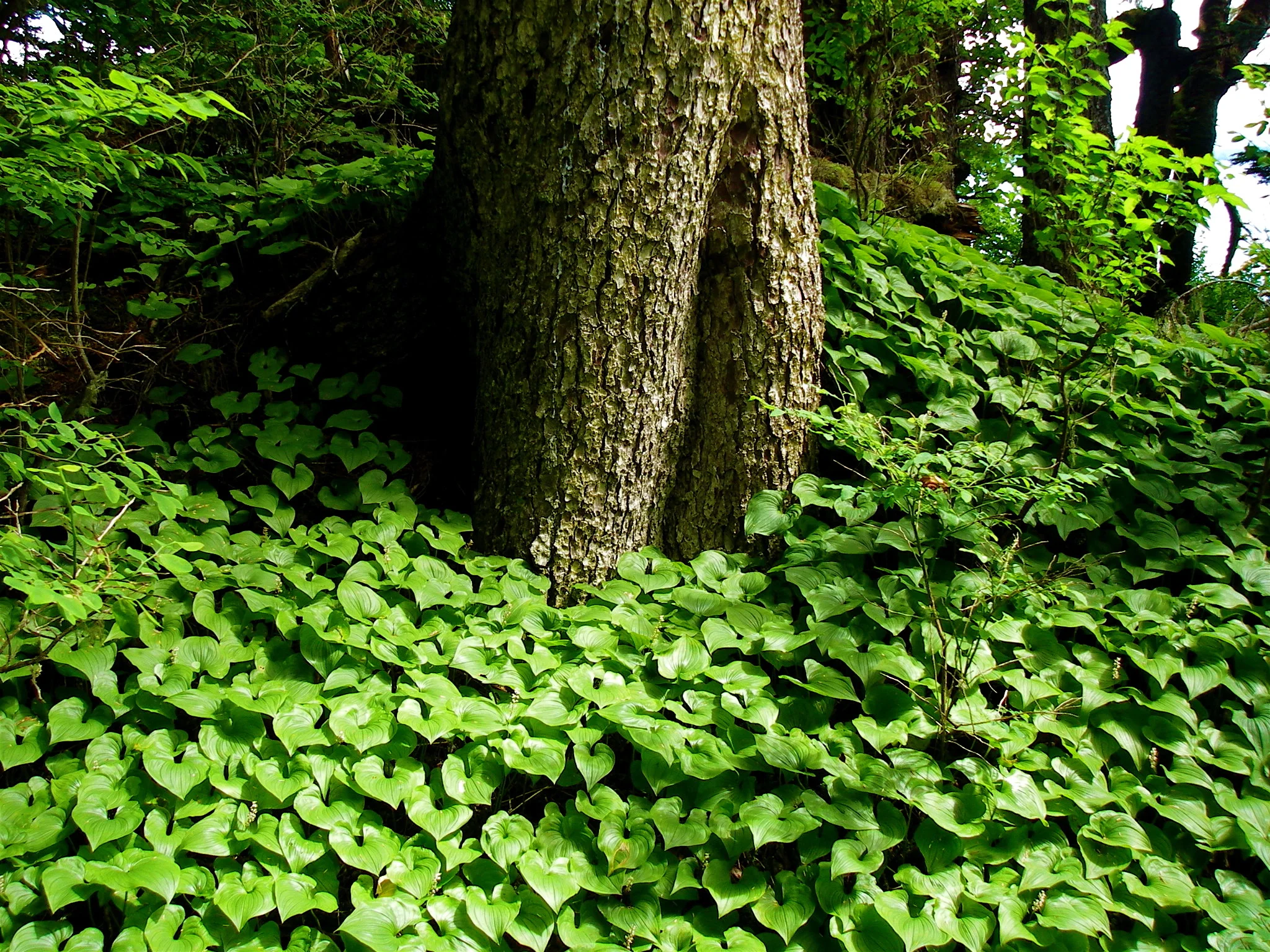 InPerson Retreats — Inside Passages