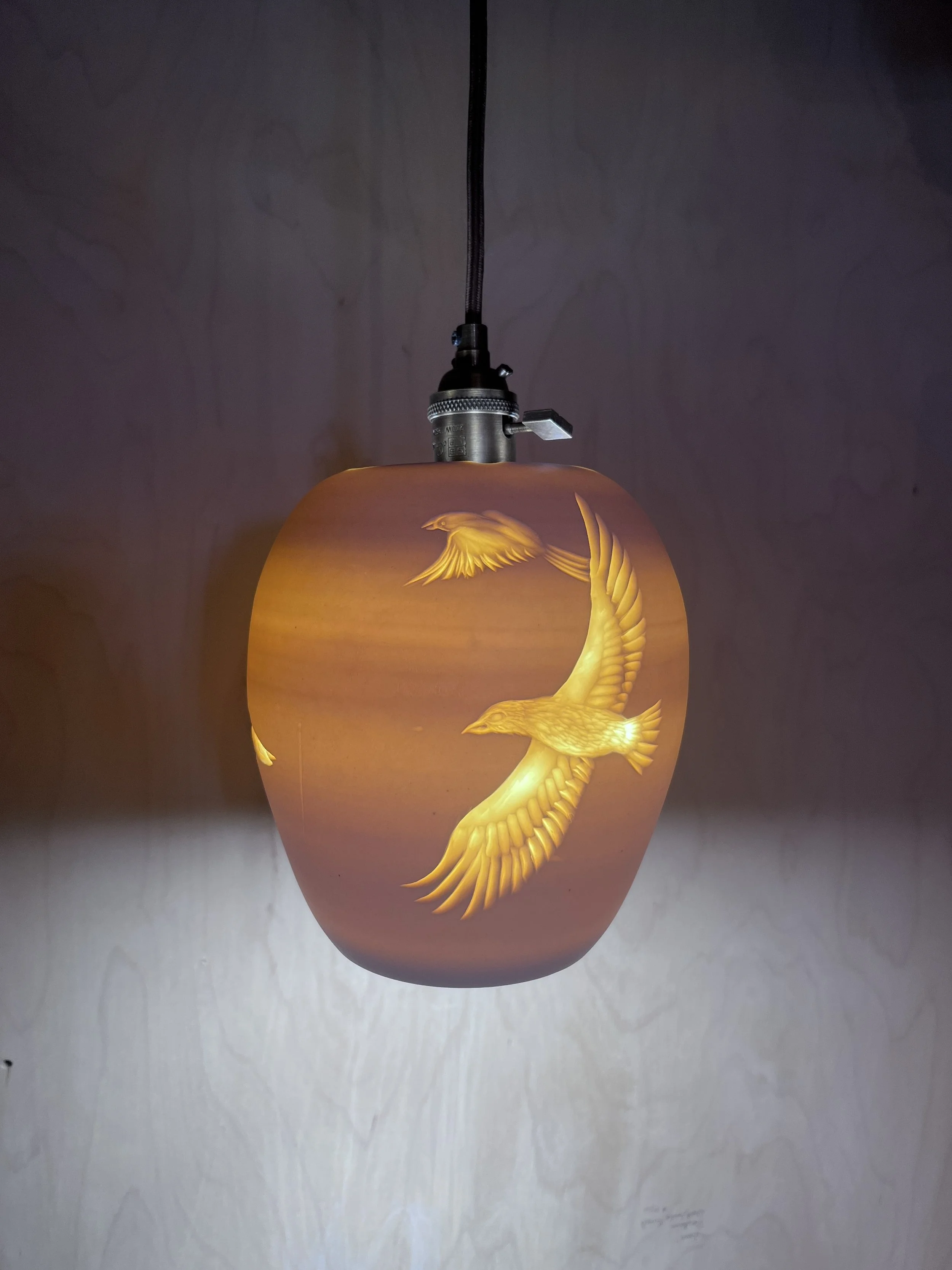 Pendant lamp~ birds