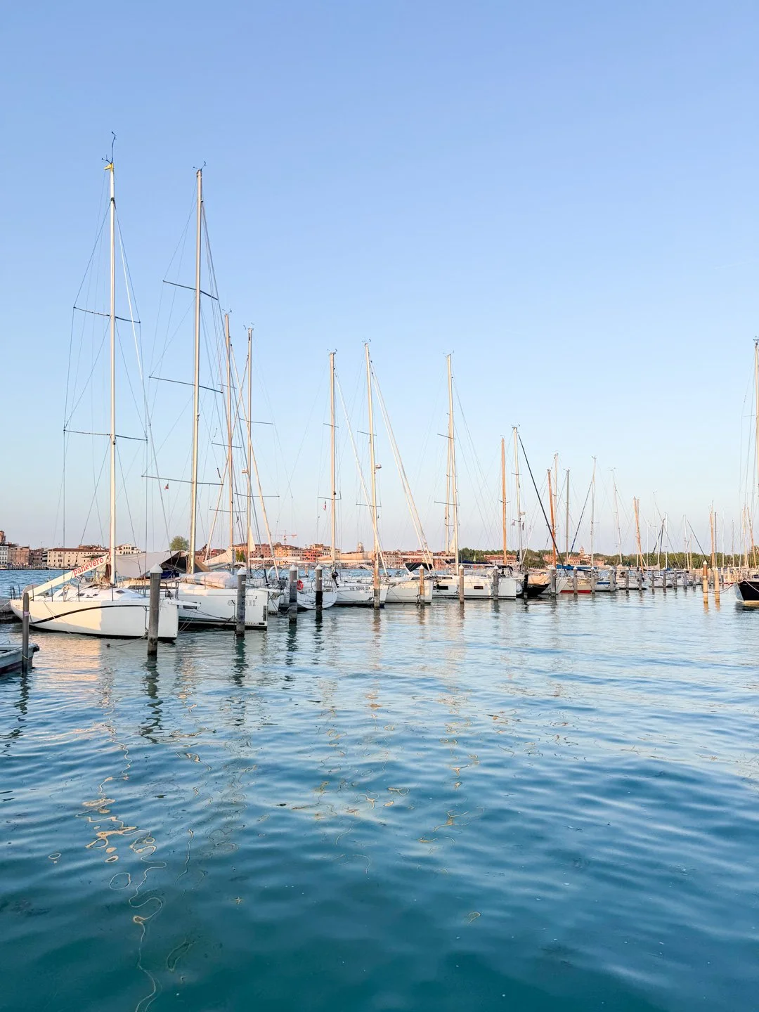 ©SarahJaneTart-LeoMarchutzVenice-29.jpg