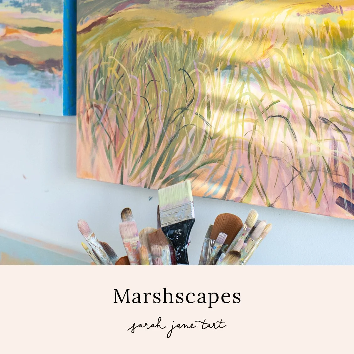 Marshscapes