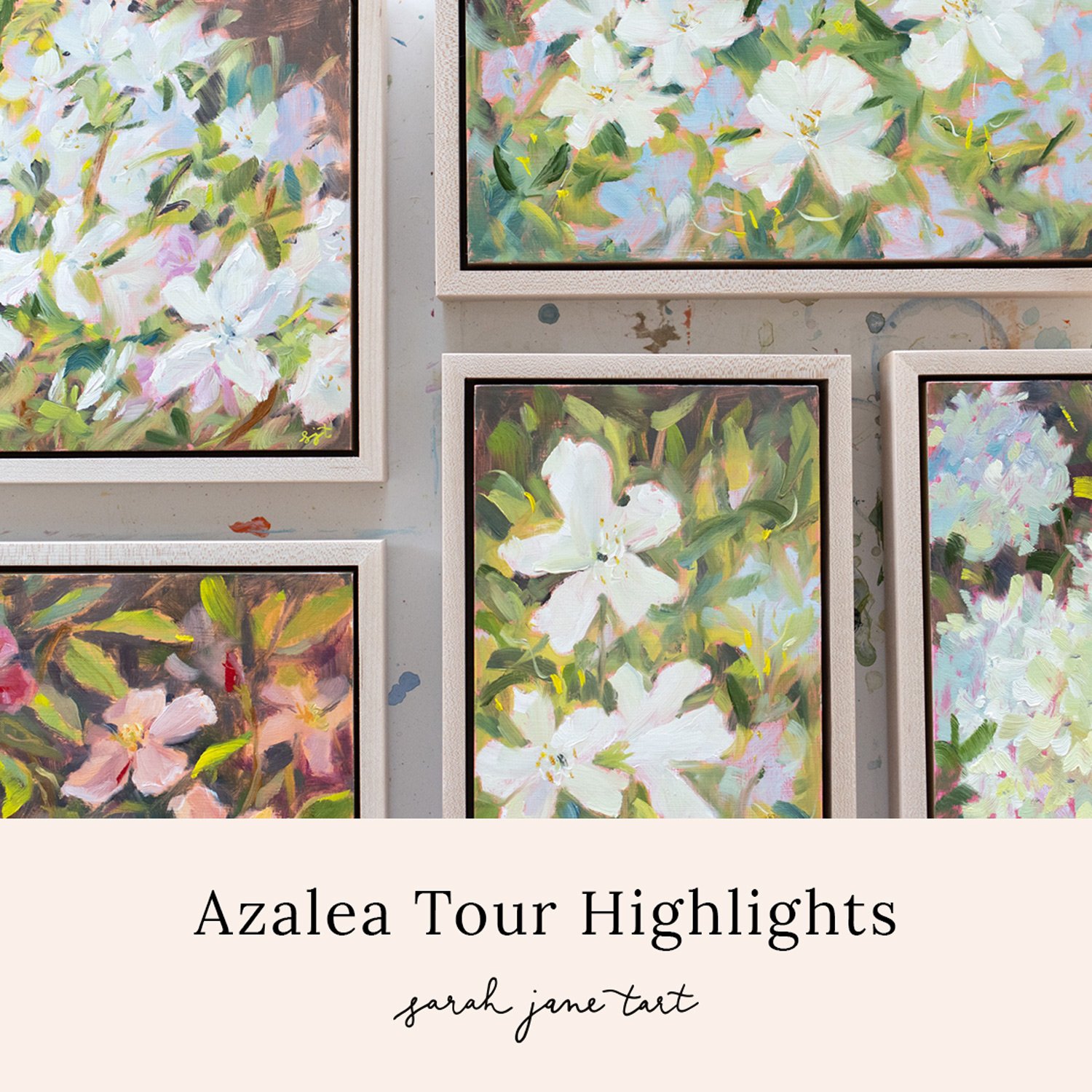 Azalea Tour Highlights