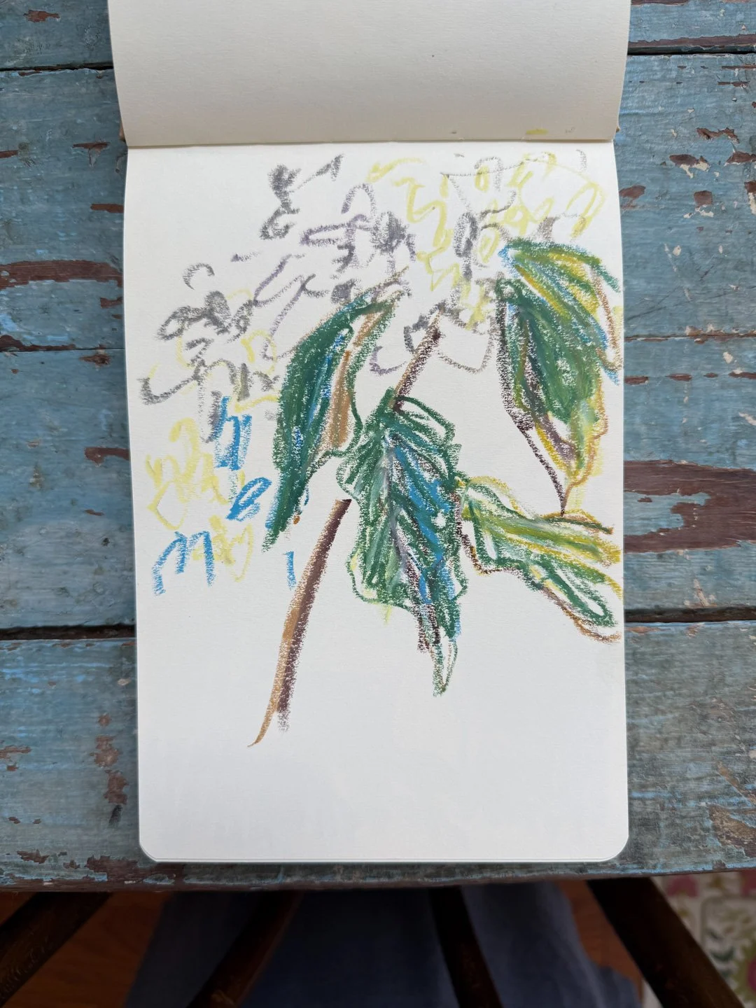 ©SarahJaneTart-JulySketchbook-5.jpg