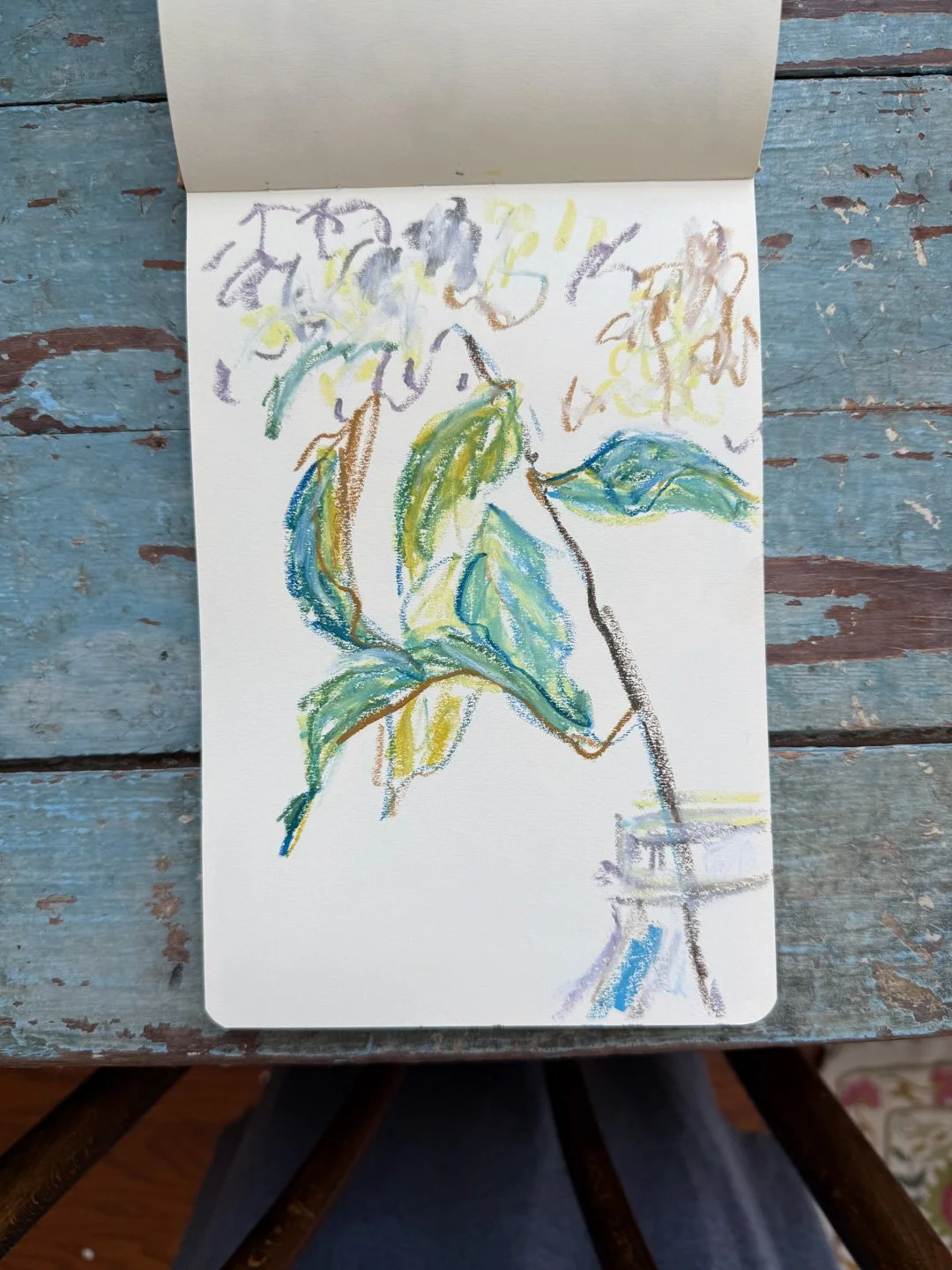 ©SarahJaneTart-JulySketchbook-6.jpg