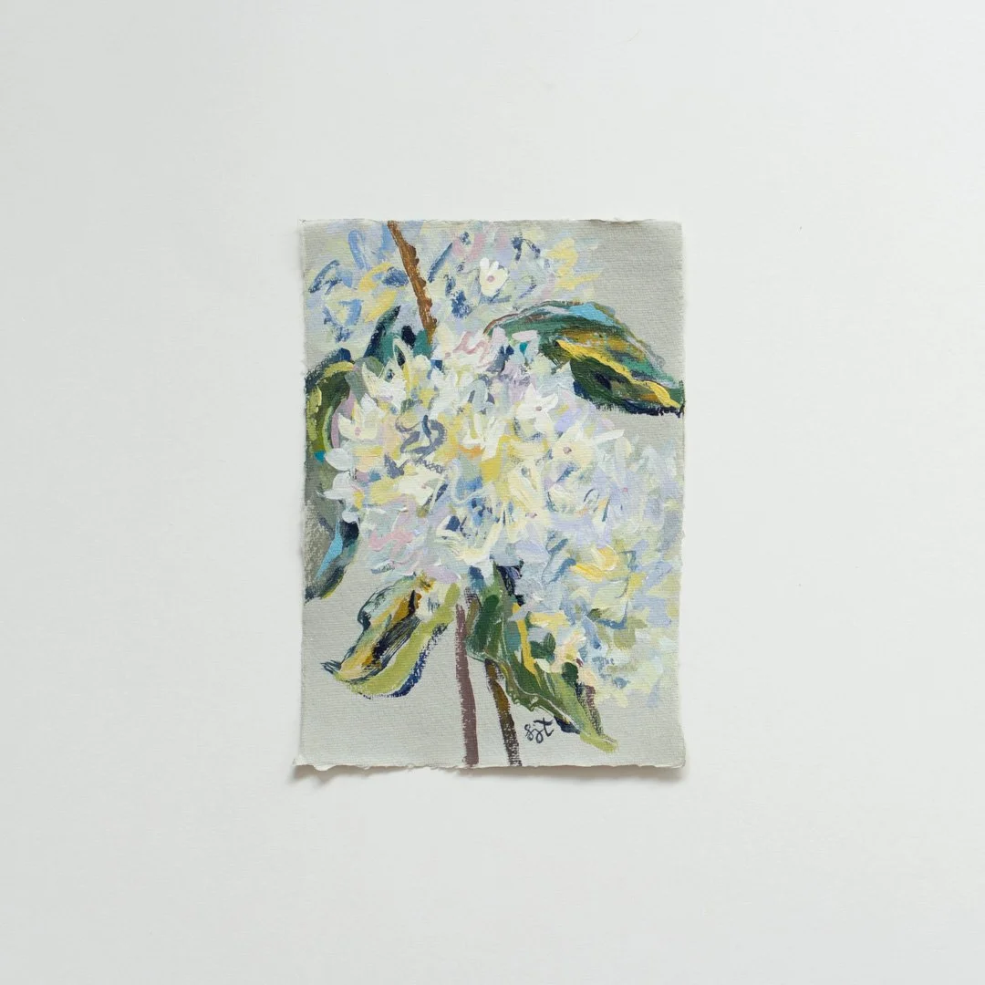 ©SarahJaneTart-2026Hydrangeas-3.jpg