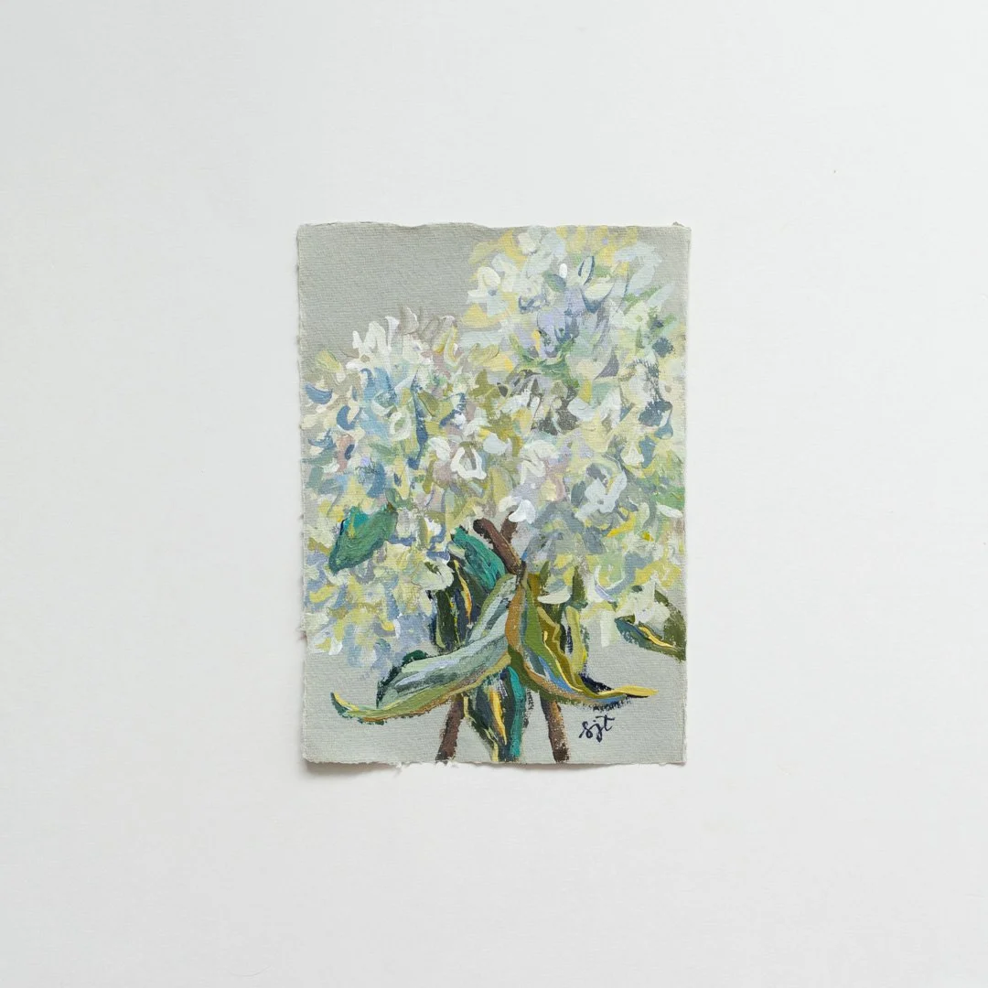 ©SarahJaneTart-2026Hydrangeas-6.jpg