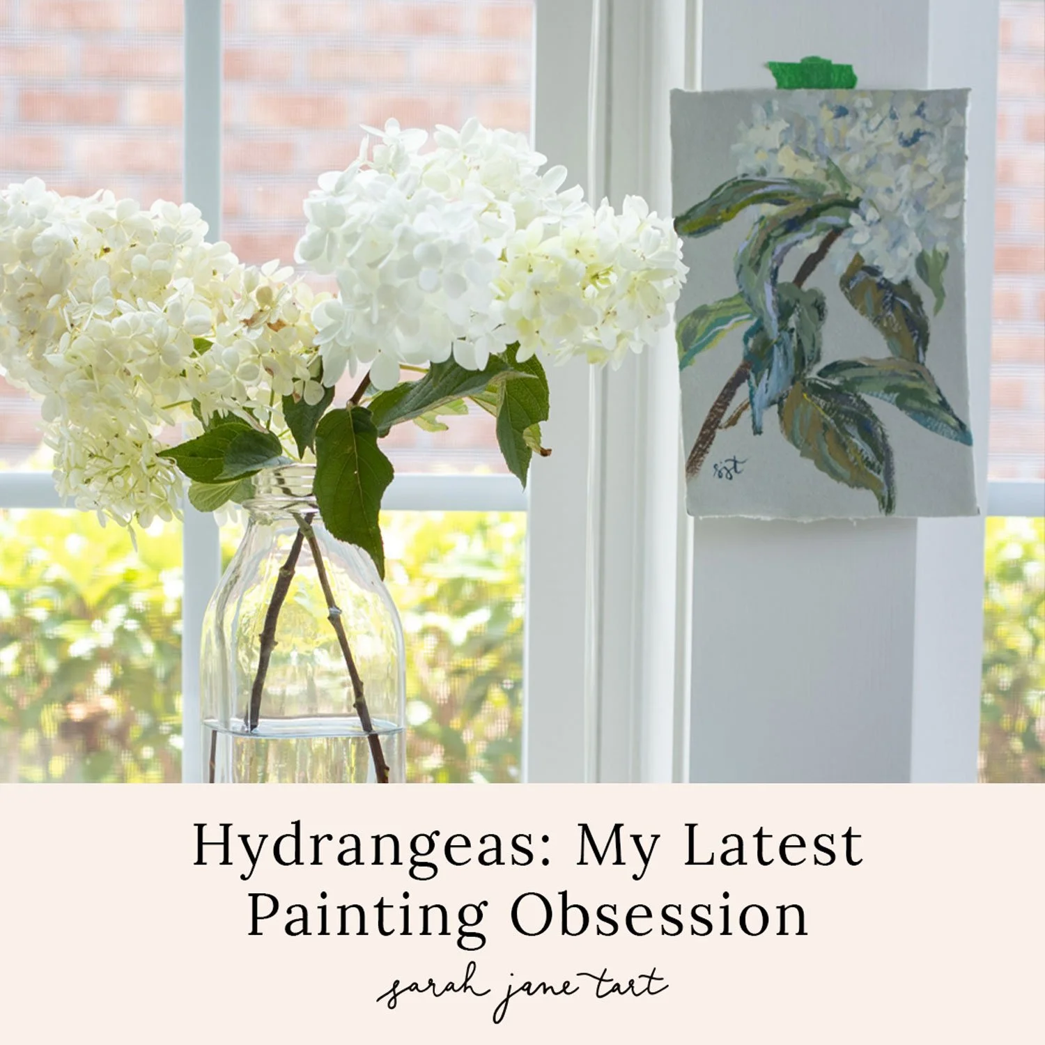 Hydrangeas: My Latest Painting Obsession