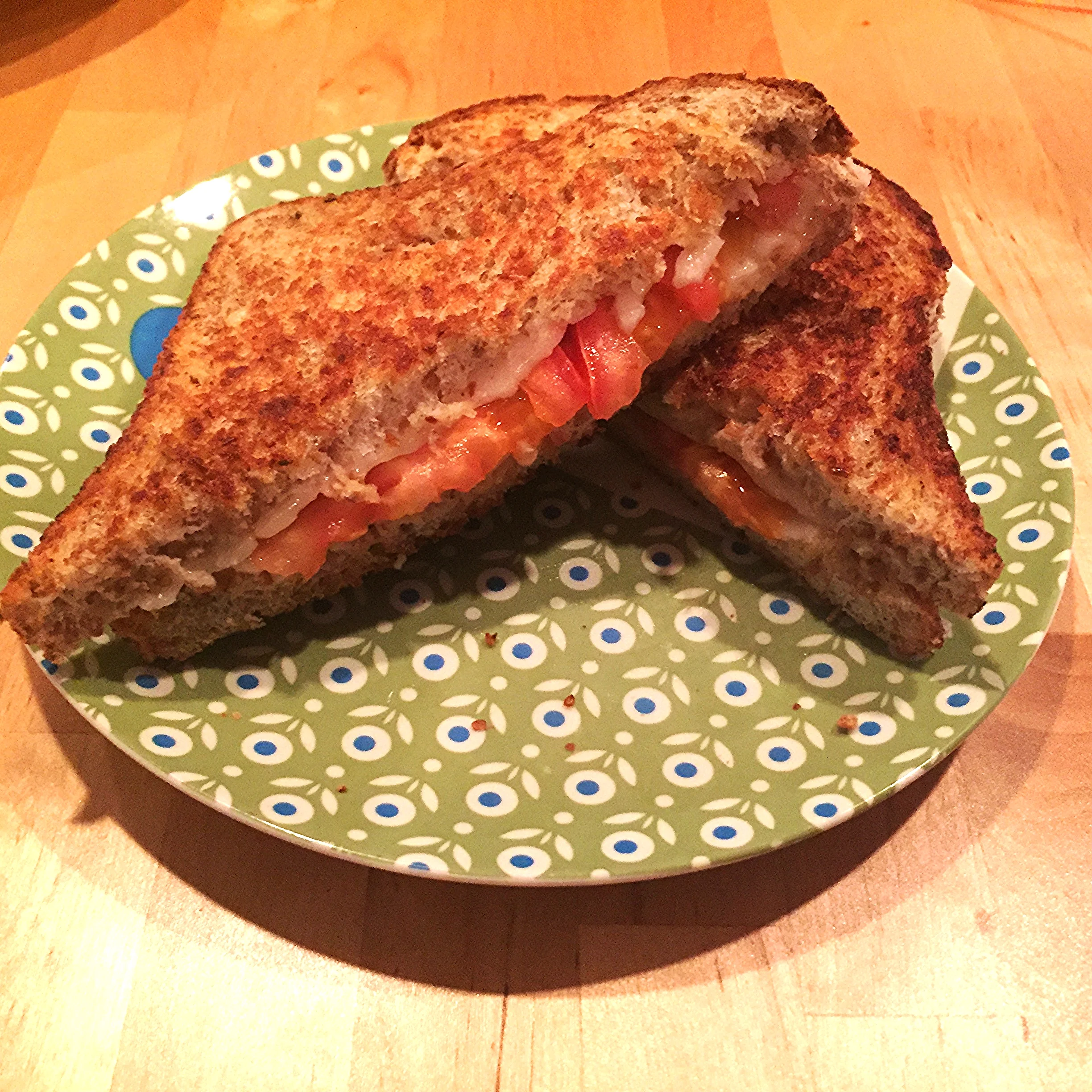 Vegan Grilled Cheese Sandwich with Hemp Bread