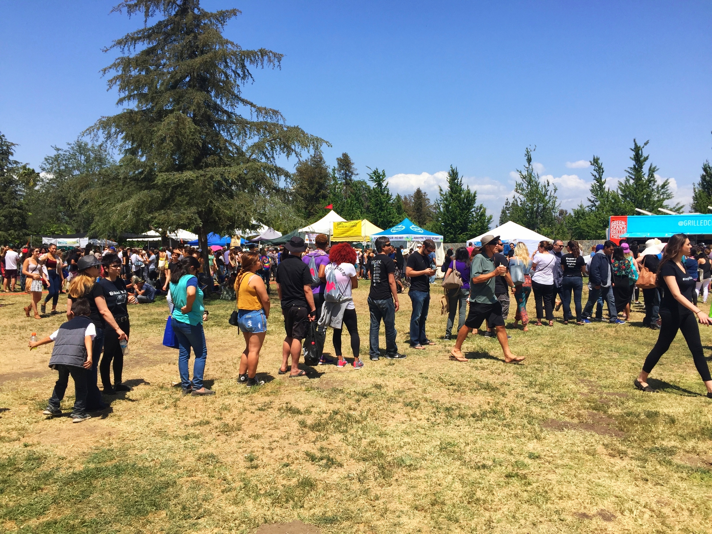 Long line after long line...