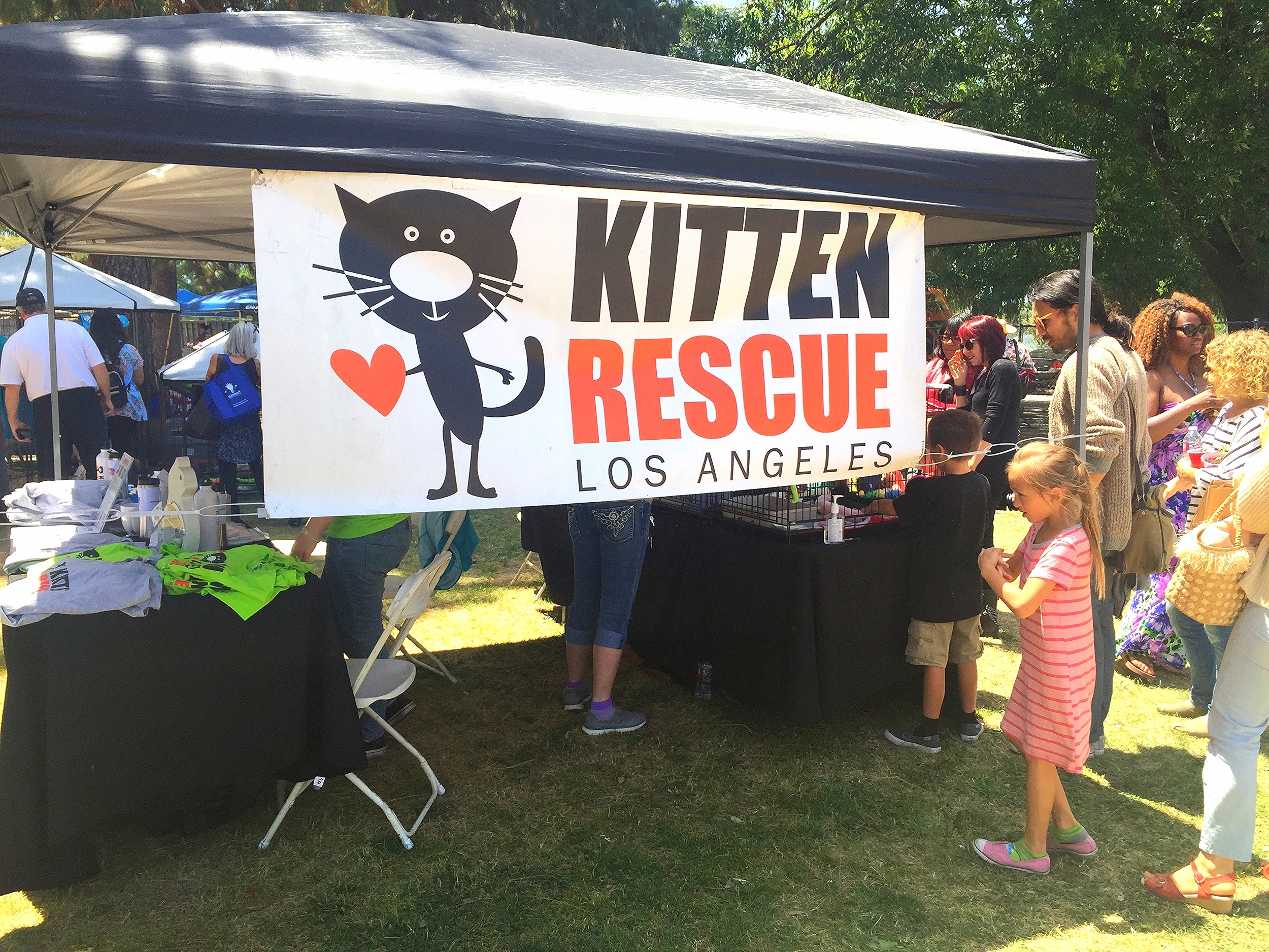 Kitten Rescue is a volunteer-run non-profit organization in Los Angeles