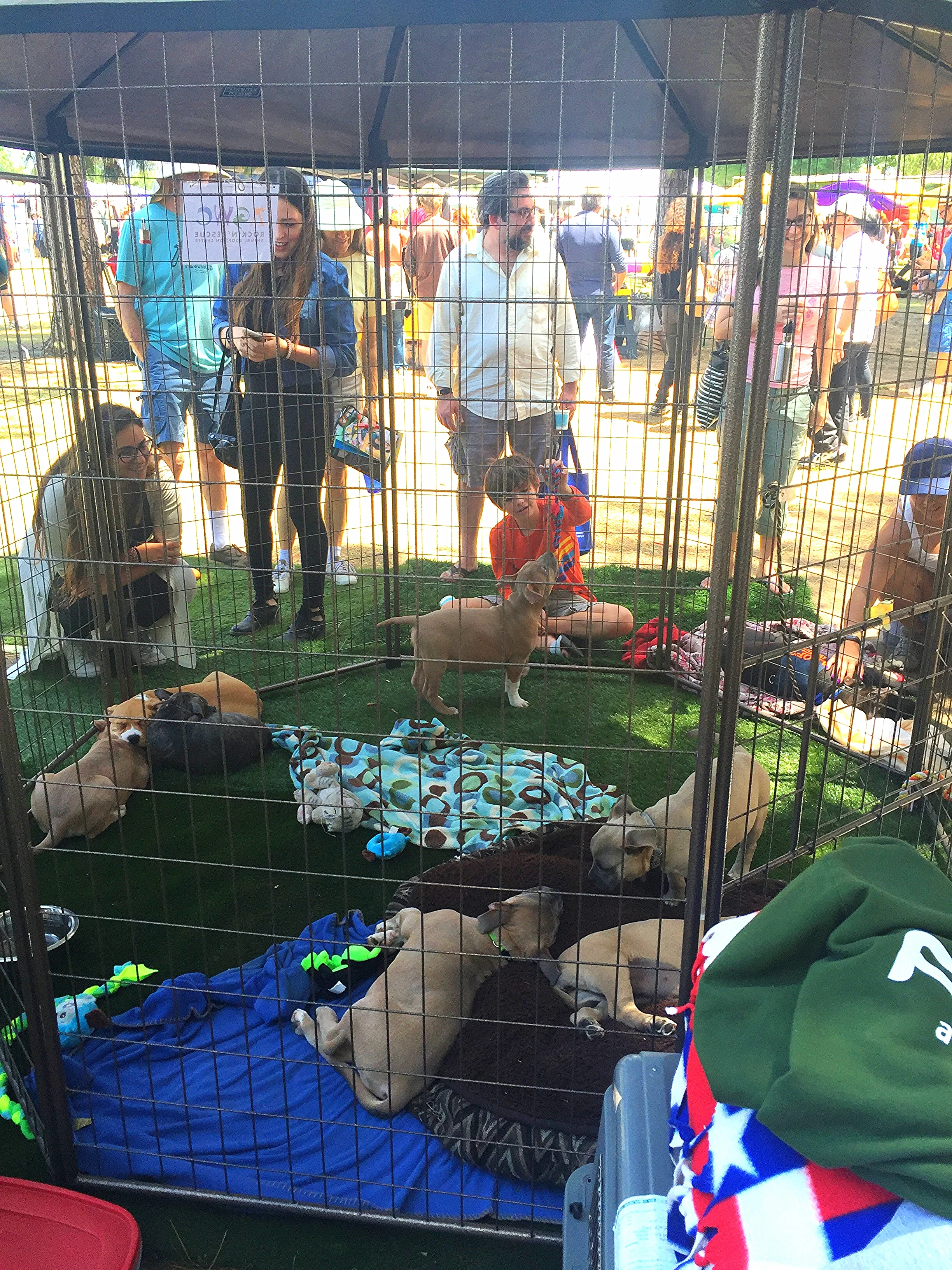 AGWC Rockin' Rescue Animal Adoption Center