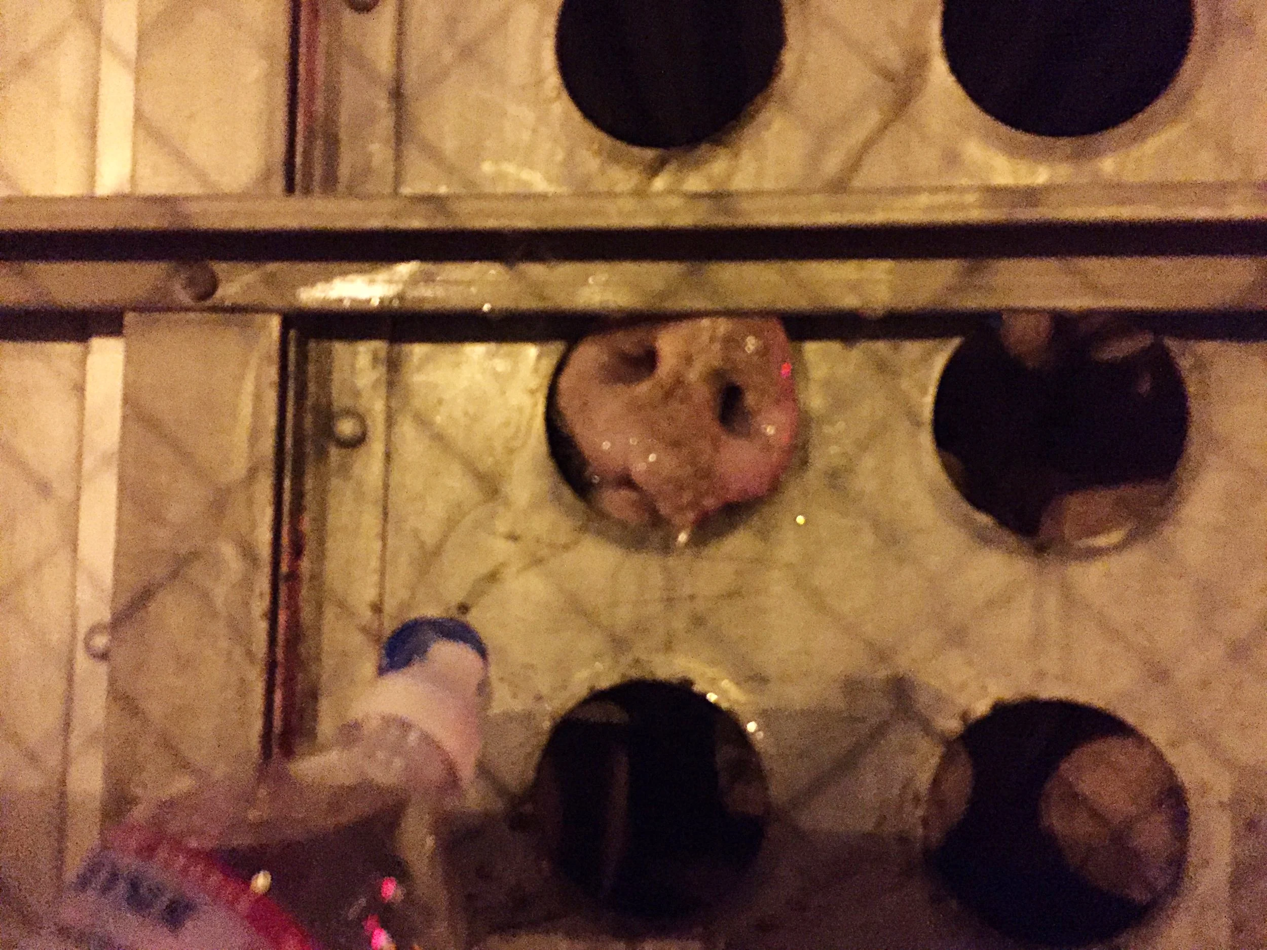 Giving water to a thirsty, dehydrated pig