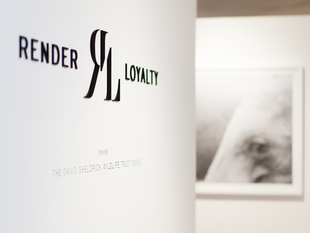 Render Loyalty exhibit in L.A. featuring The David Sheldrick Wildlife Trust series