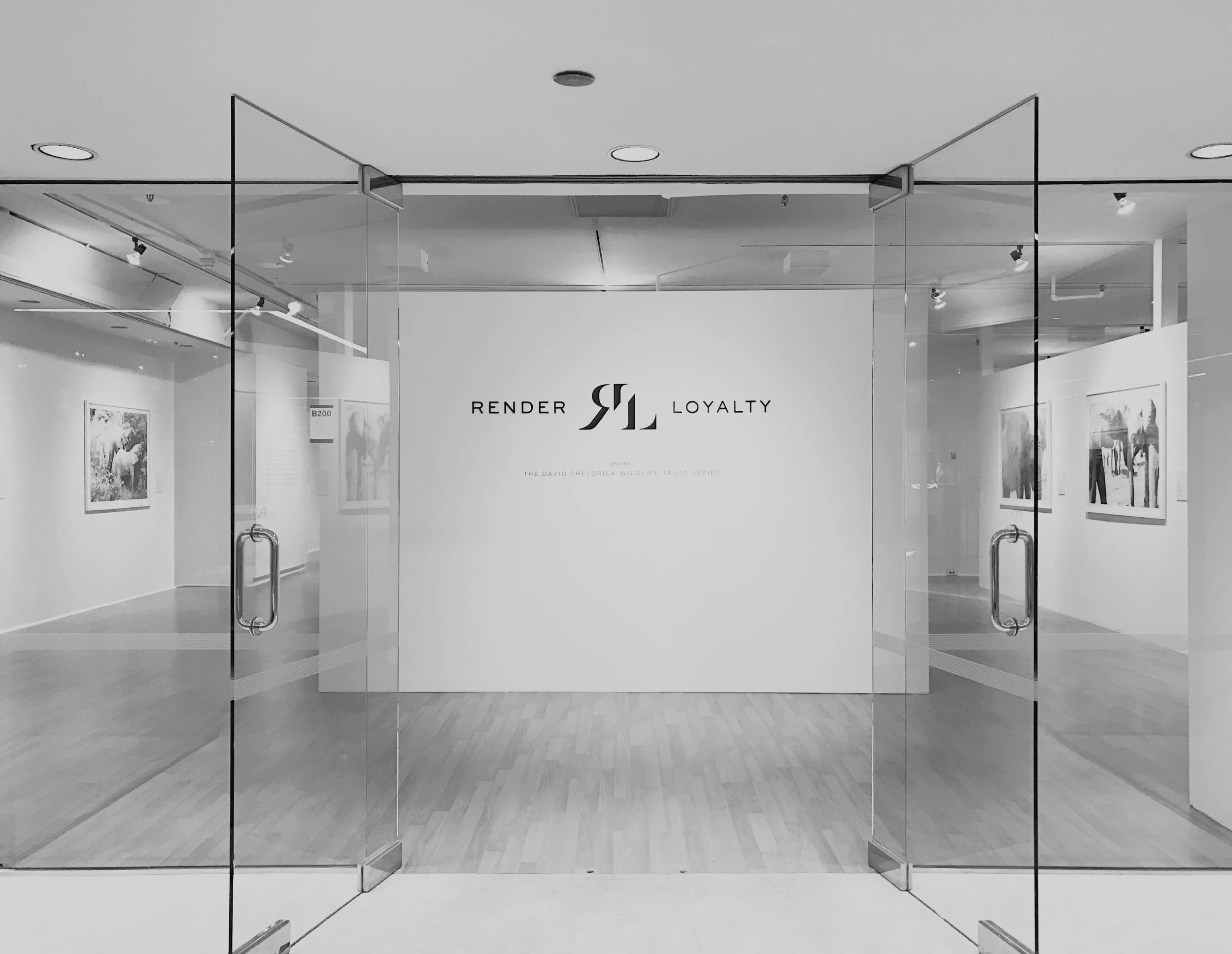 Render Loyalty exhibit in L.A. featuring The David Sheldrick Wildlife Trust series