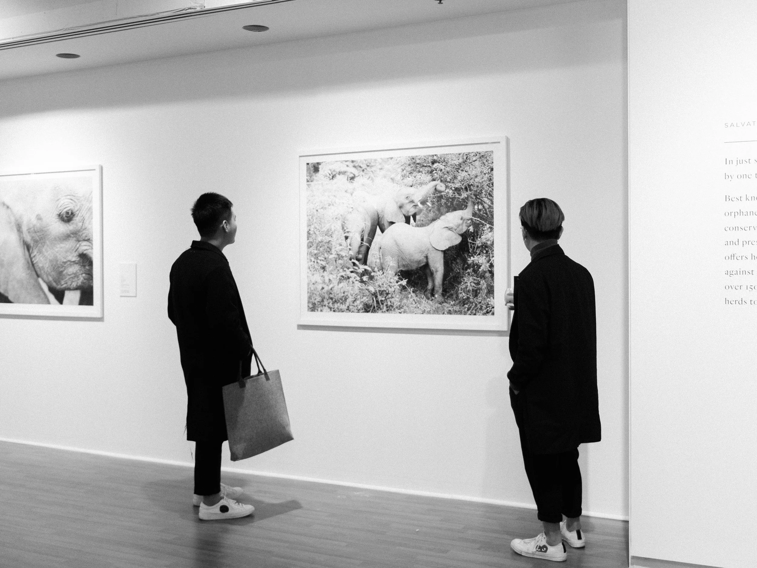 Render Loyalty exhibit in L.A. featuring The David Sheldrick Wildlife Trust series