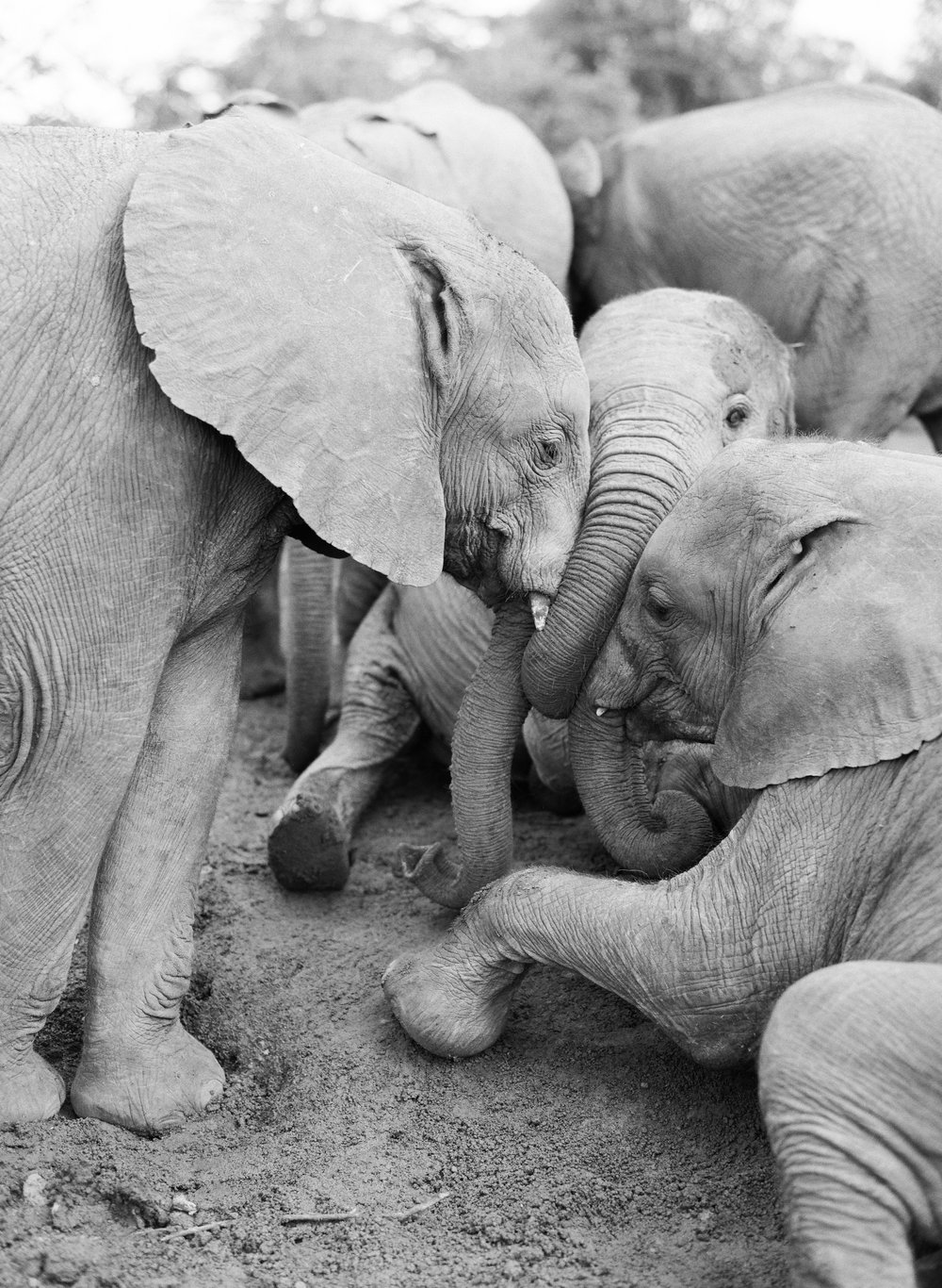 'Connection' from Render Loyalty series by KT Merry