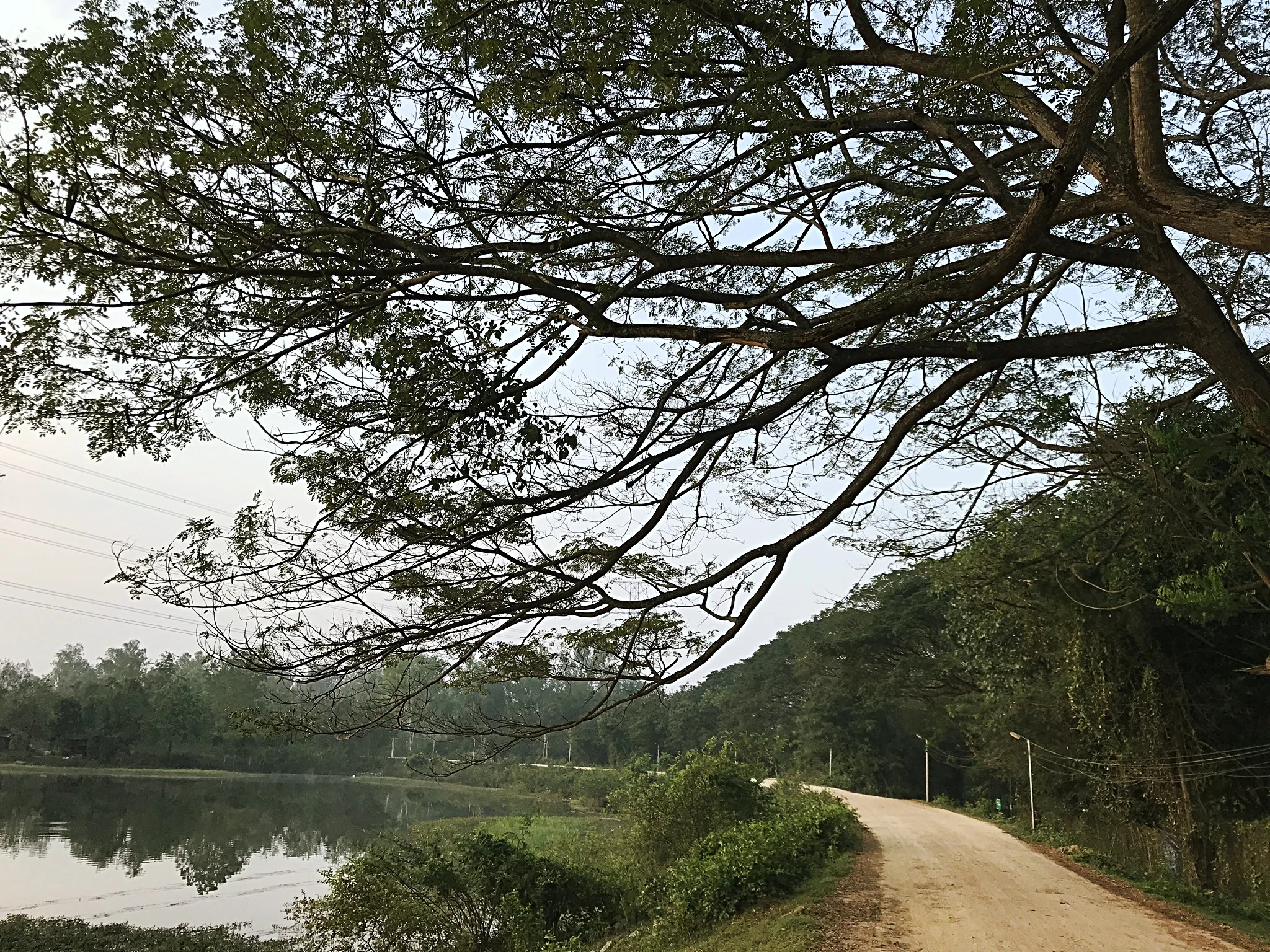 The road outside of WFFT