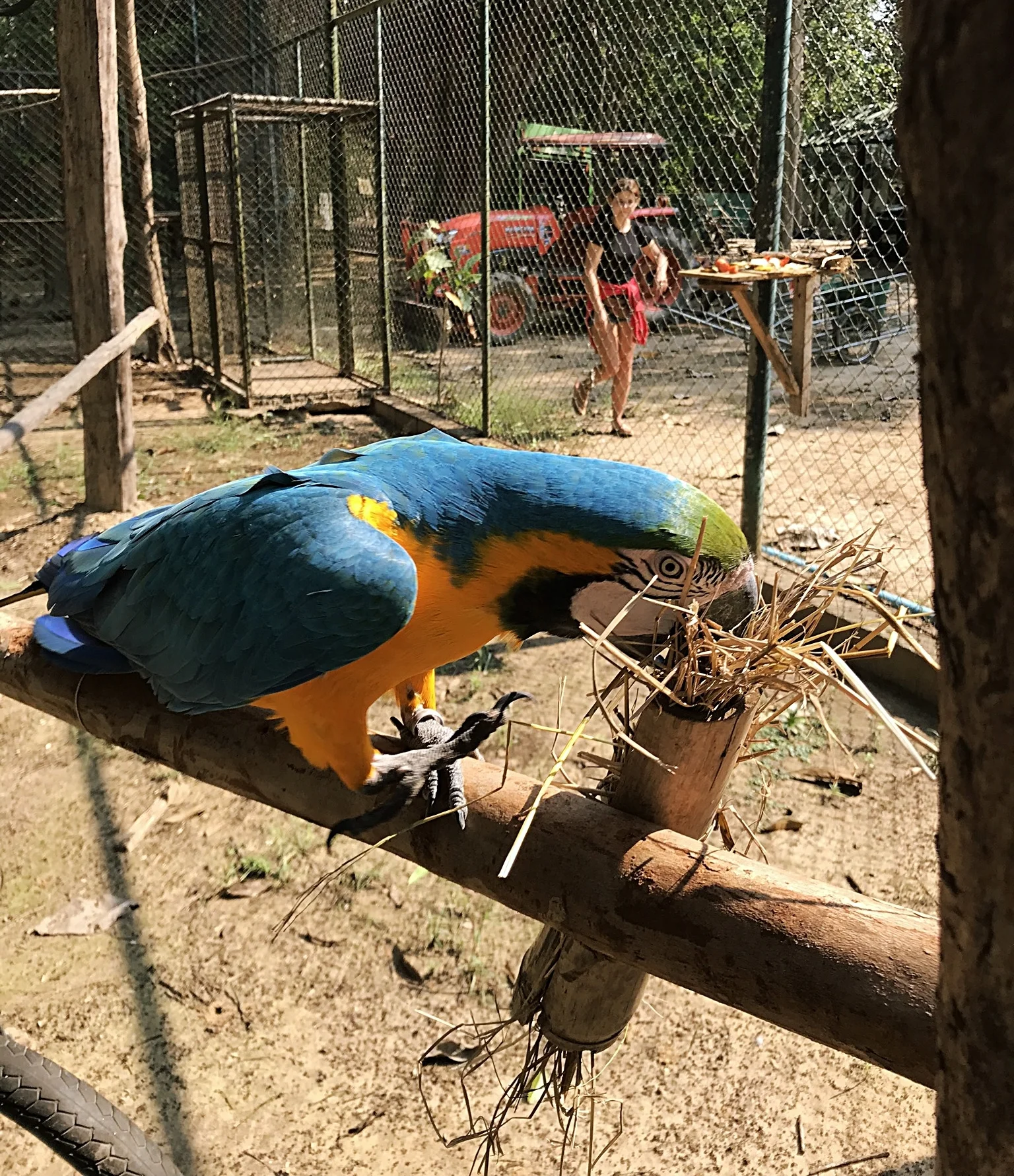 Here's an example of an enrichment