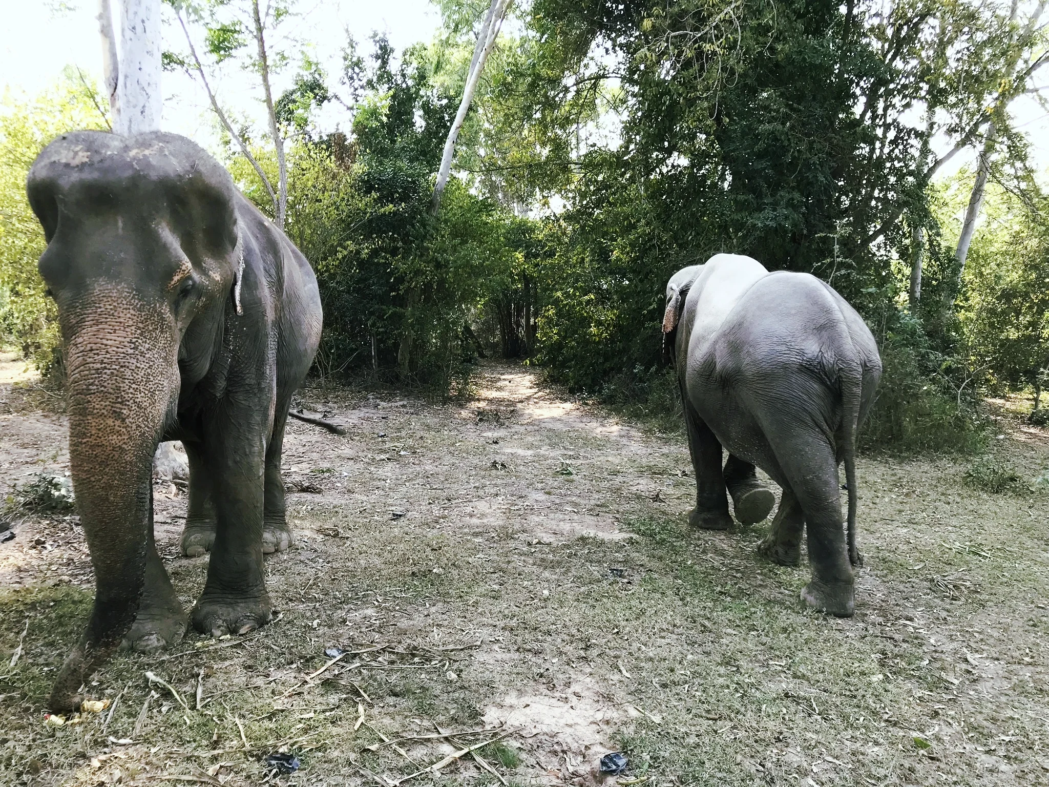 "I go this way, you go that way."