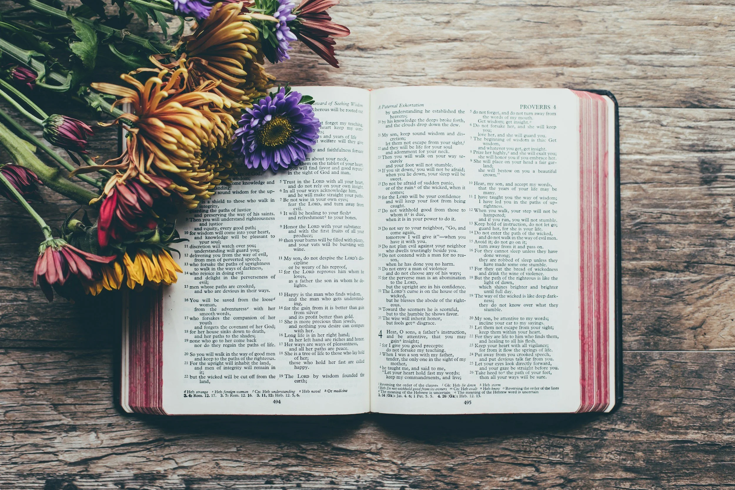 Bible Study on Zoom