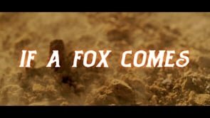 Filmsupply Edit Fest: If A Fox Comes