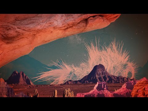 In the Ponds: The Lost City