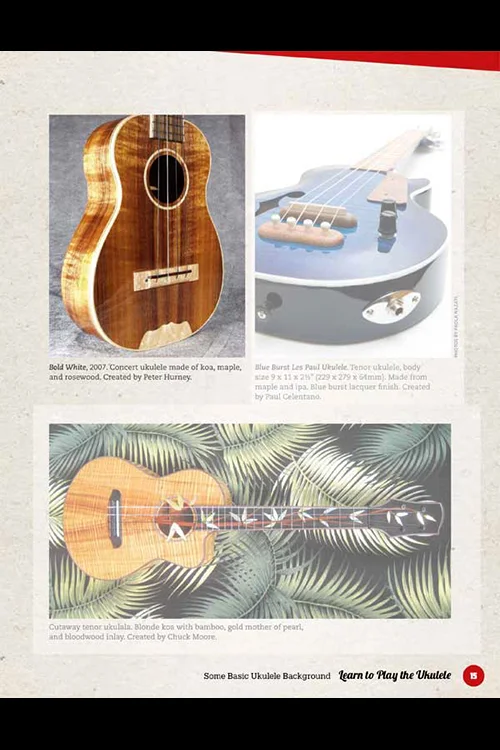 Fox-Chapel-PLaying-Book-revised.jpg