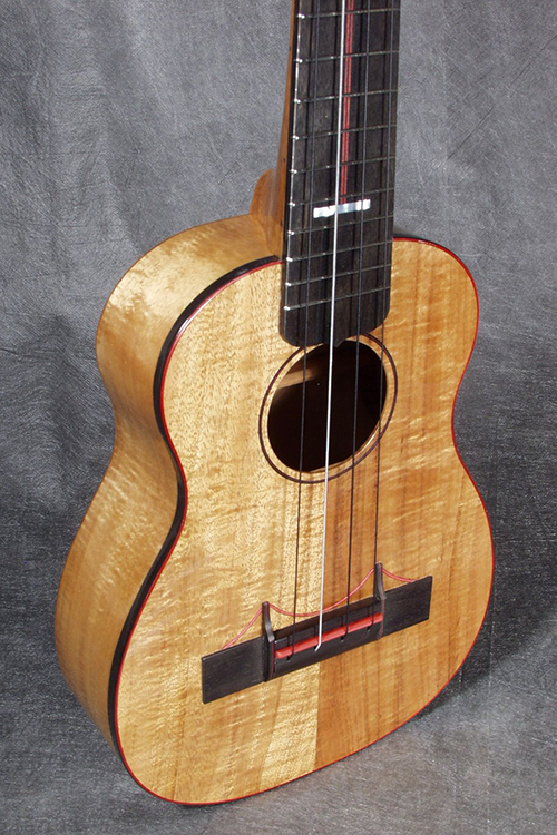 Ukulele Exposition 05-web.png