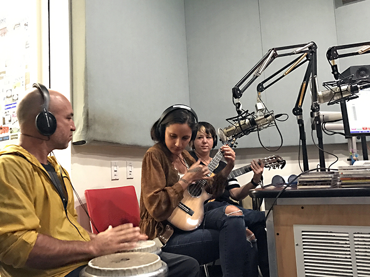 Taimane at KALX