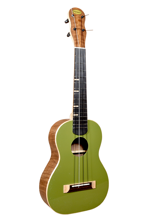Olive Green 01_revised_outlined_web.png